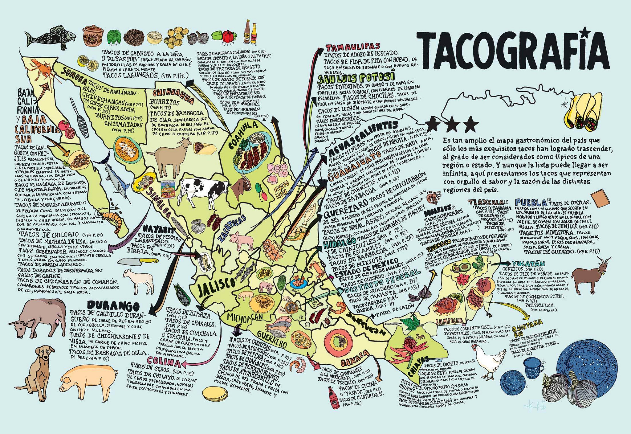 Tacography, a map of different tacos from around Mexico (Spanish