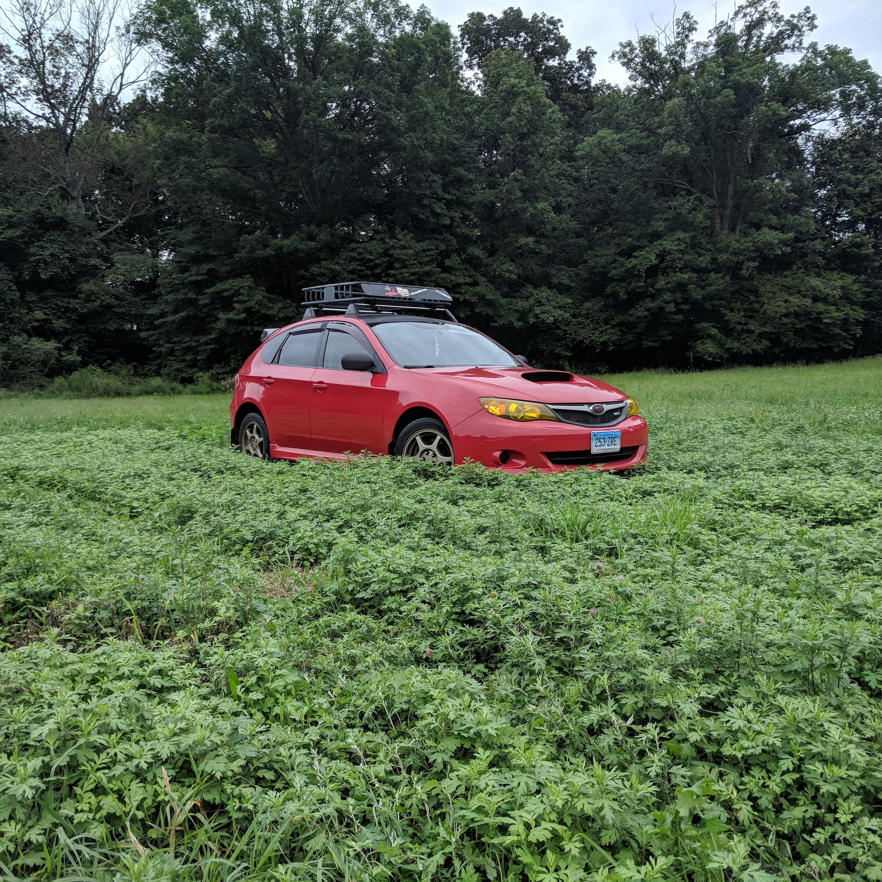 Installed some King lift springs a few days ago, loving it so far. r