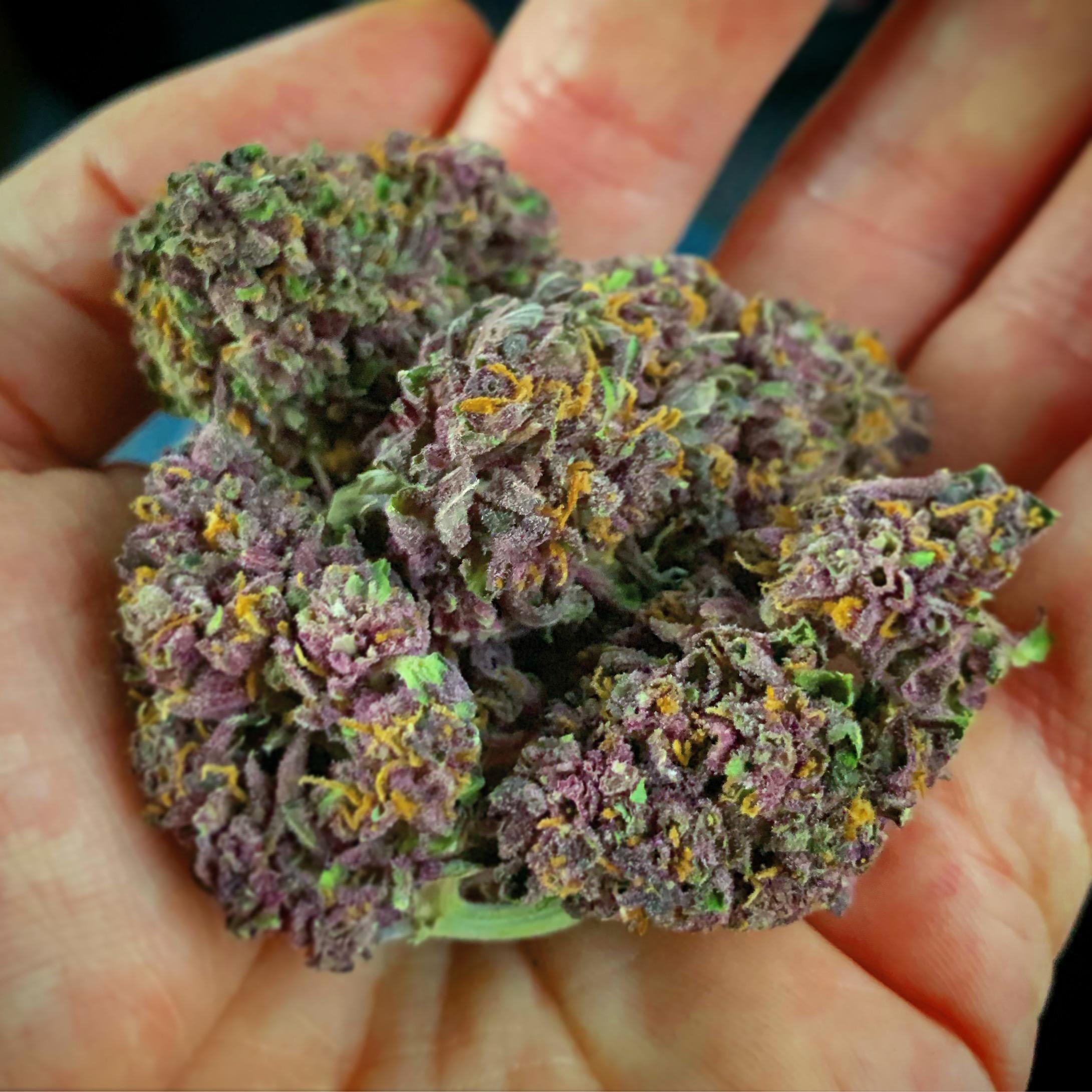 Oregon bud r/trees