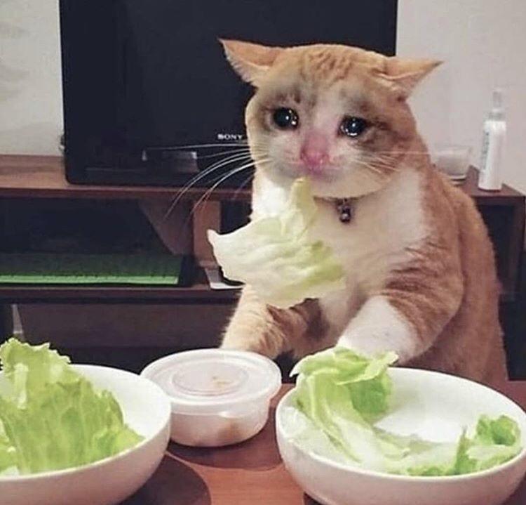 Right in ffront of my ssalad CryingCatMemes