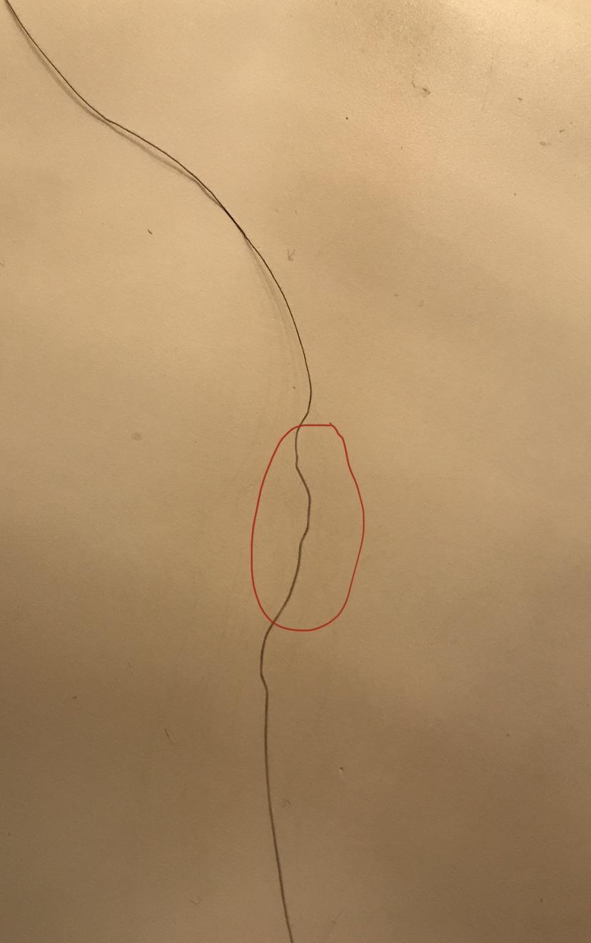 Can someone tell me why my hair looks like this? Newish coarse texture