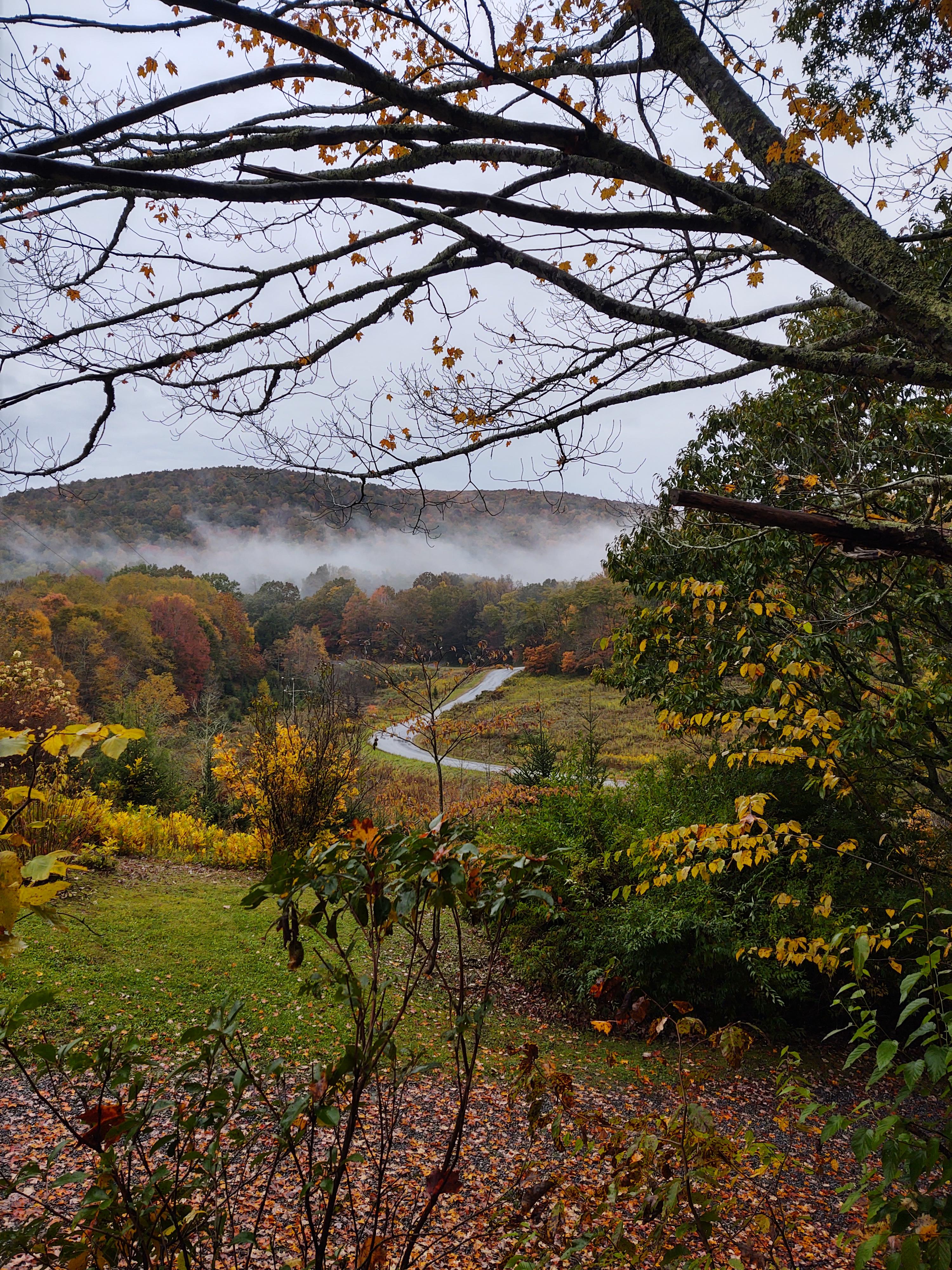 We did a crazy thing and moved our city family to the Highlands. Hello