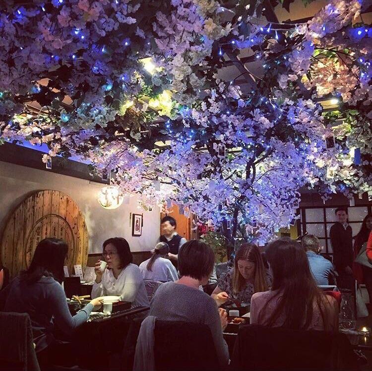 Imagine finding a hidden Japanese restaurant in your local town with an