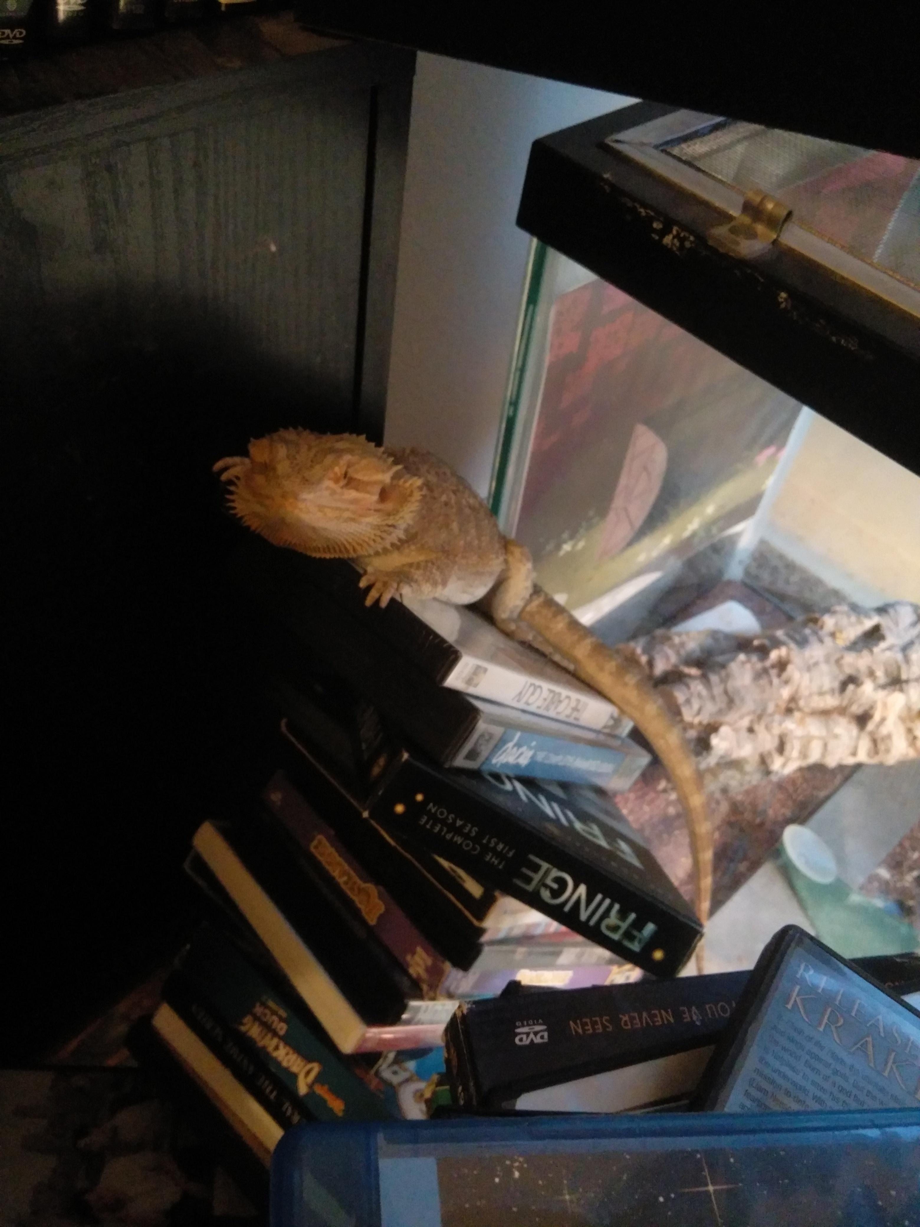 289 best Escape Artist images on Pholder Aww, The Glass Cannon