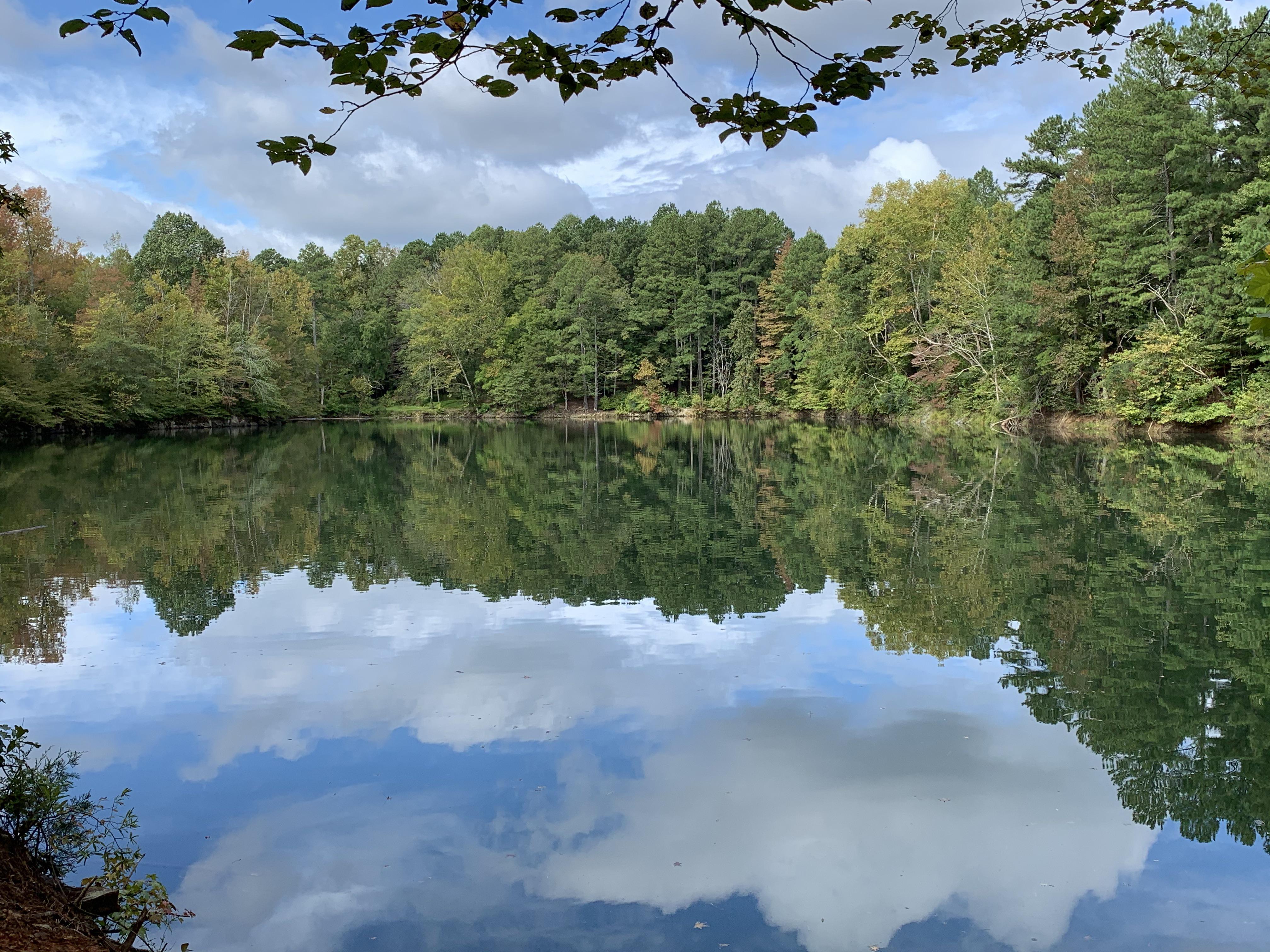 Eno River Quarry this morning. r/bullcity