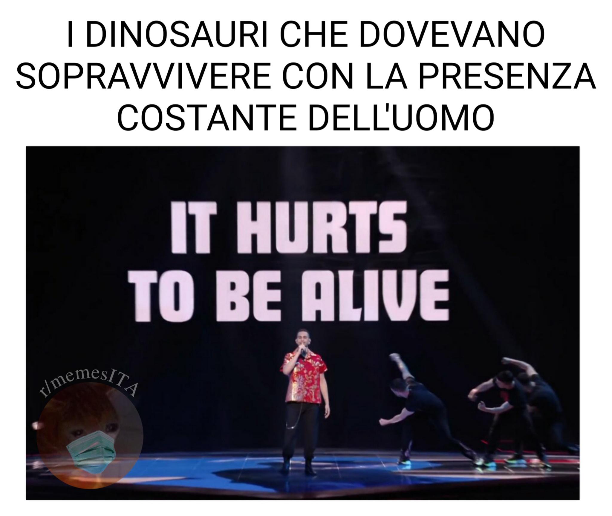 Non hanno avuto un attimo di pace memesITA