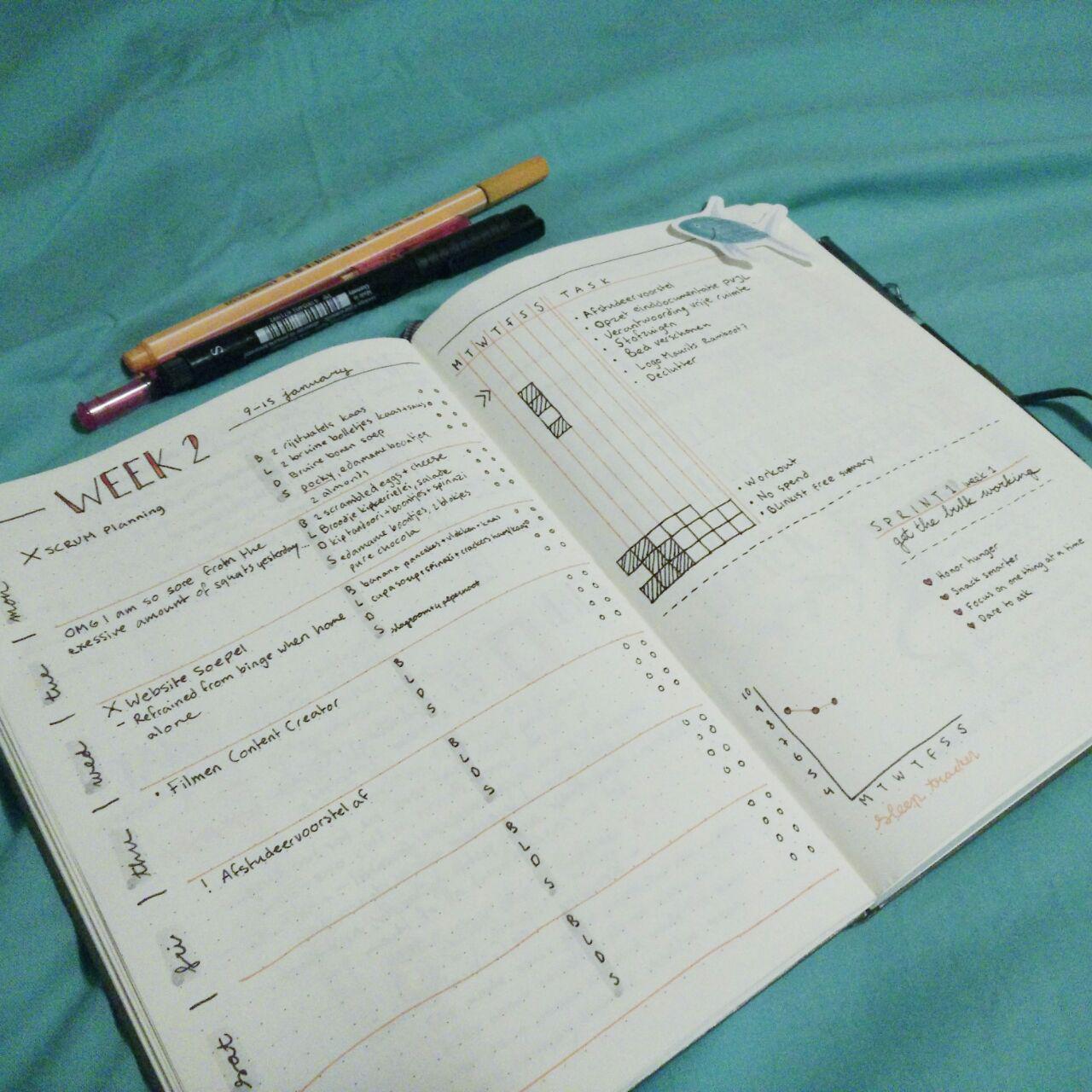 Really liking my new weekly spread with food & water log and the