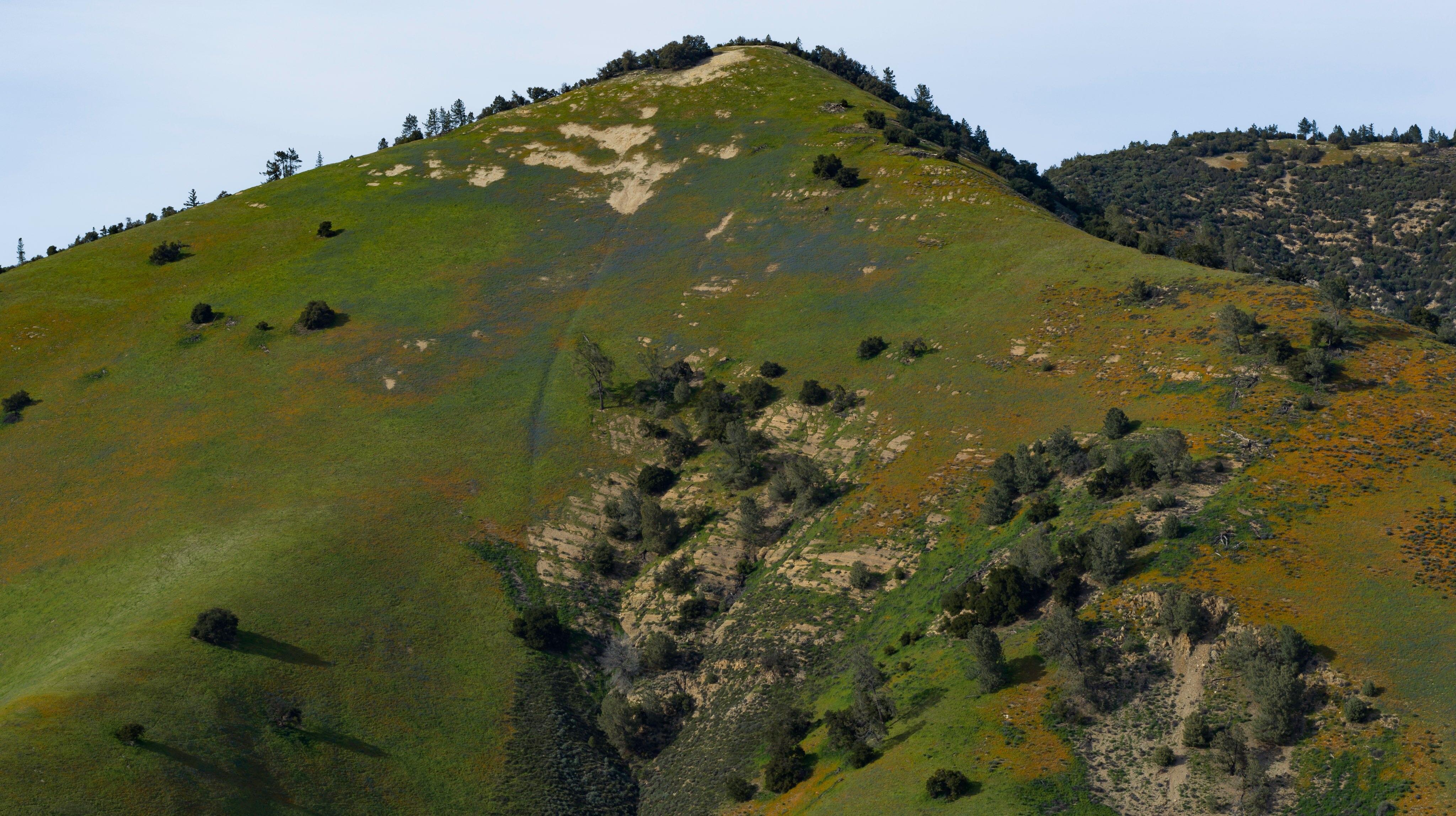 This colorful hillside in Central California [OC][6000x3000] AerialPorn