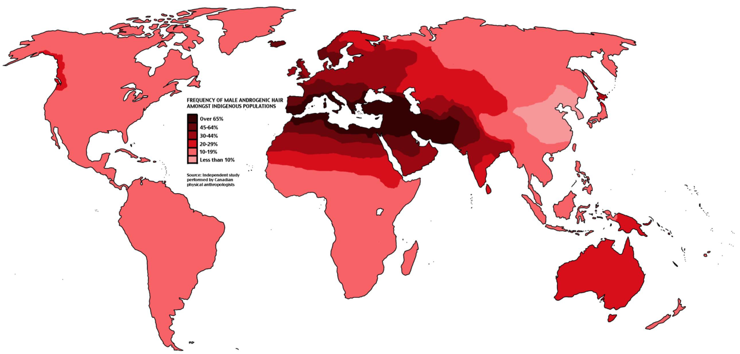 Frequency of Male Body Hair Among Populations r/MapPorn