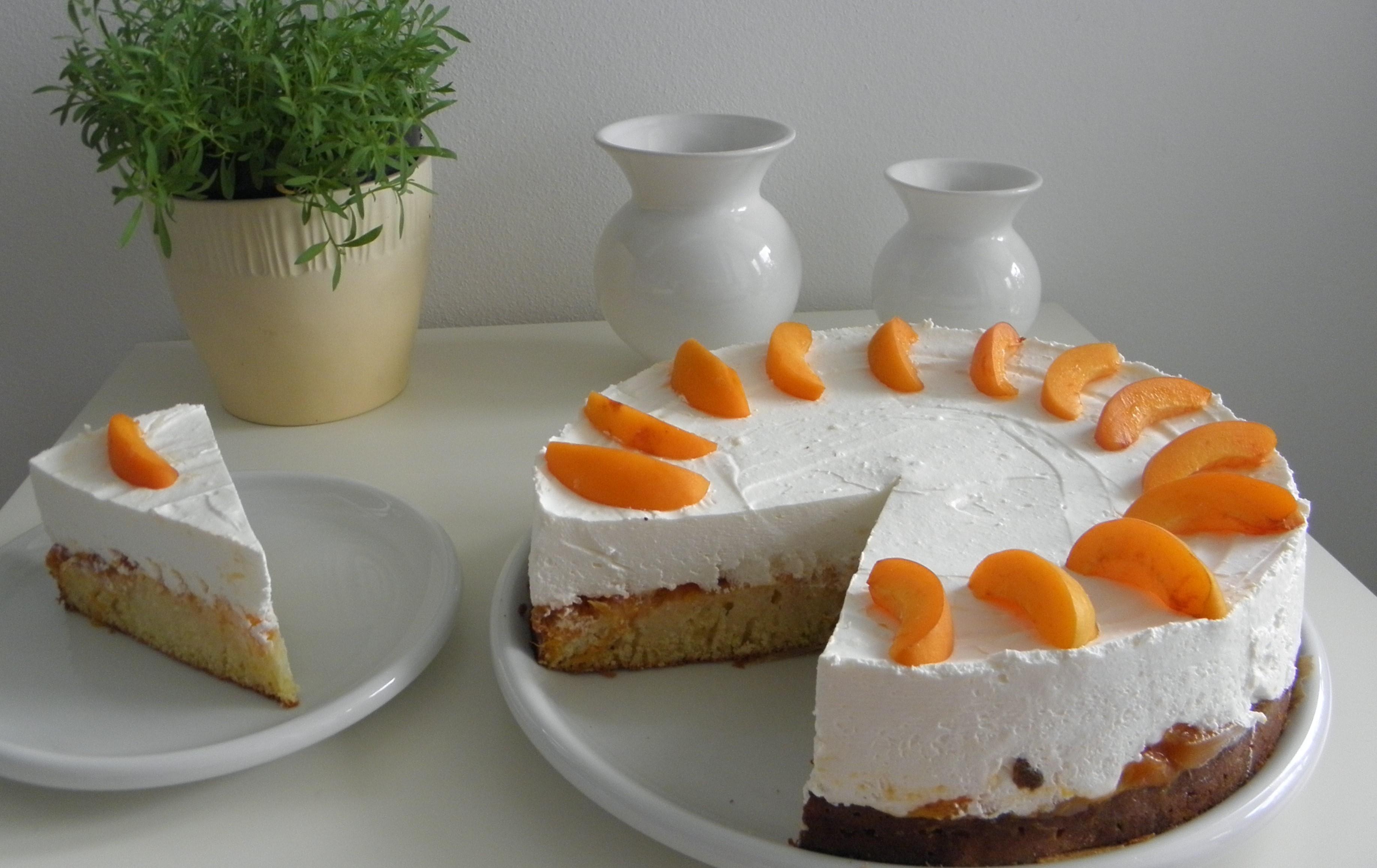 Refreshing yogurt cake with homemade apricot jam filling r/Cakes