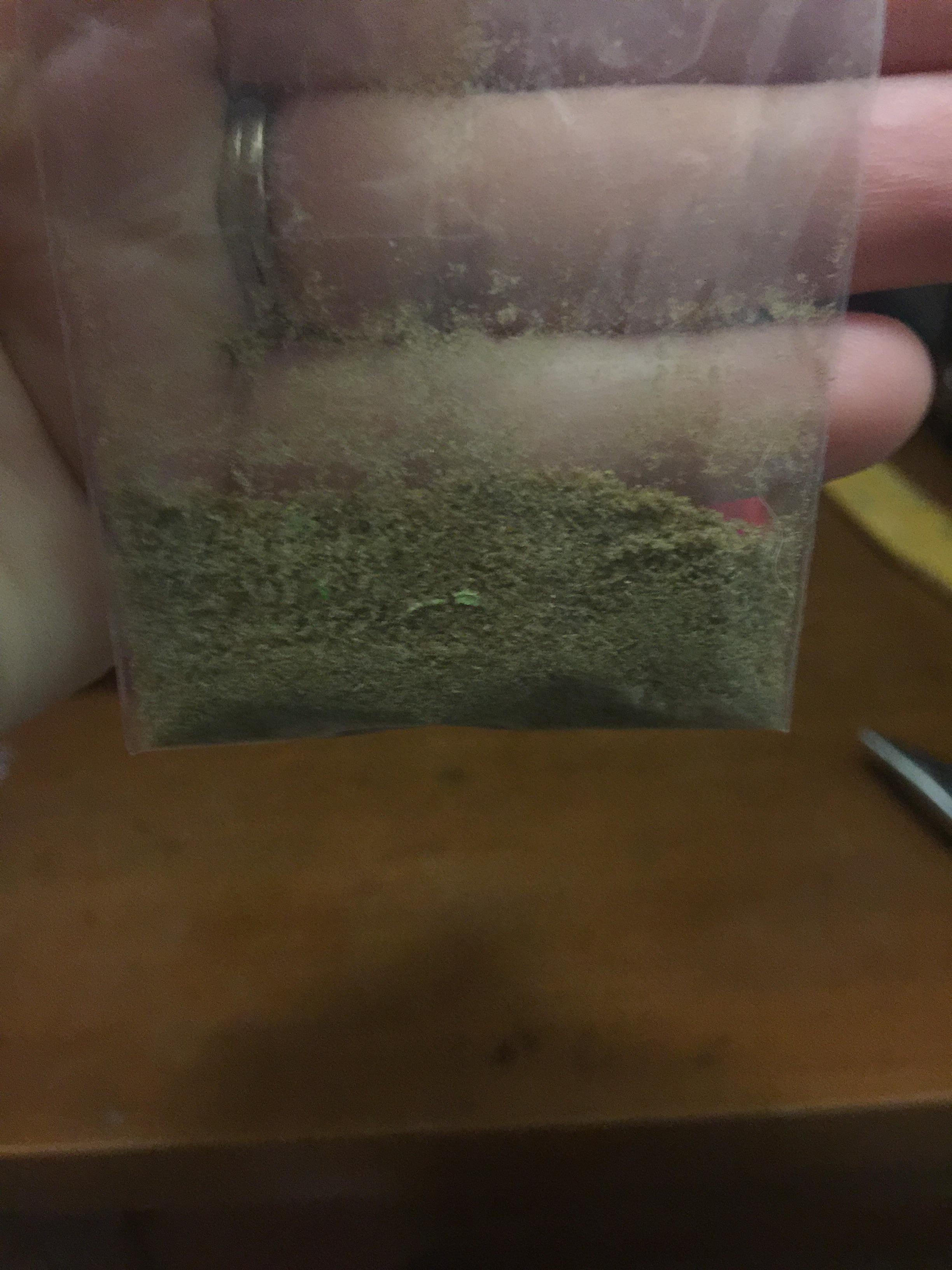 Showed aunty the kief compartment of her grinder that she was unaware