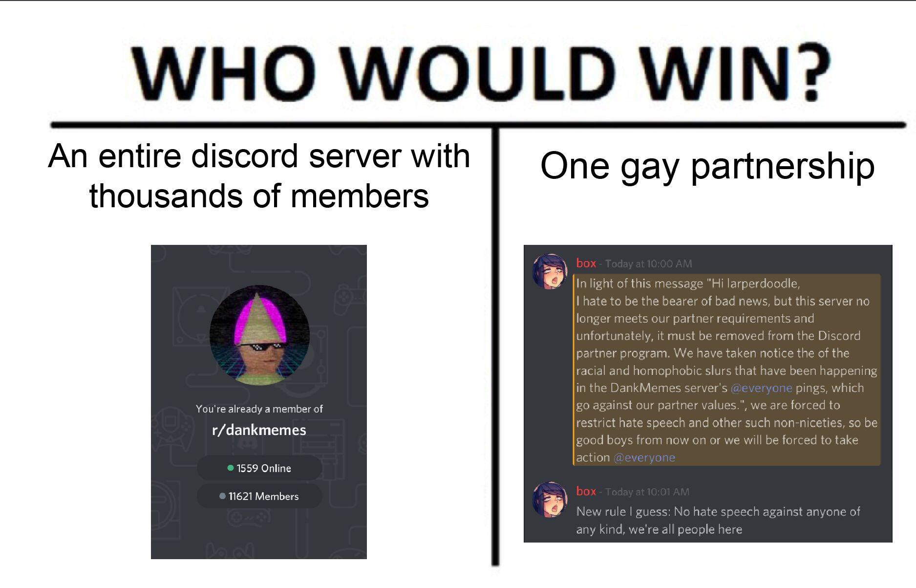 Gay memes discord server bingohohpa