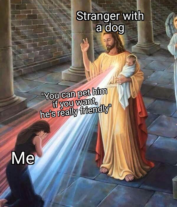 Truly a blessing memes