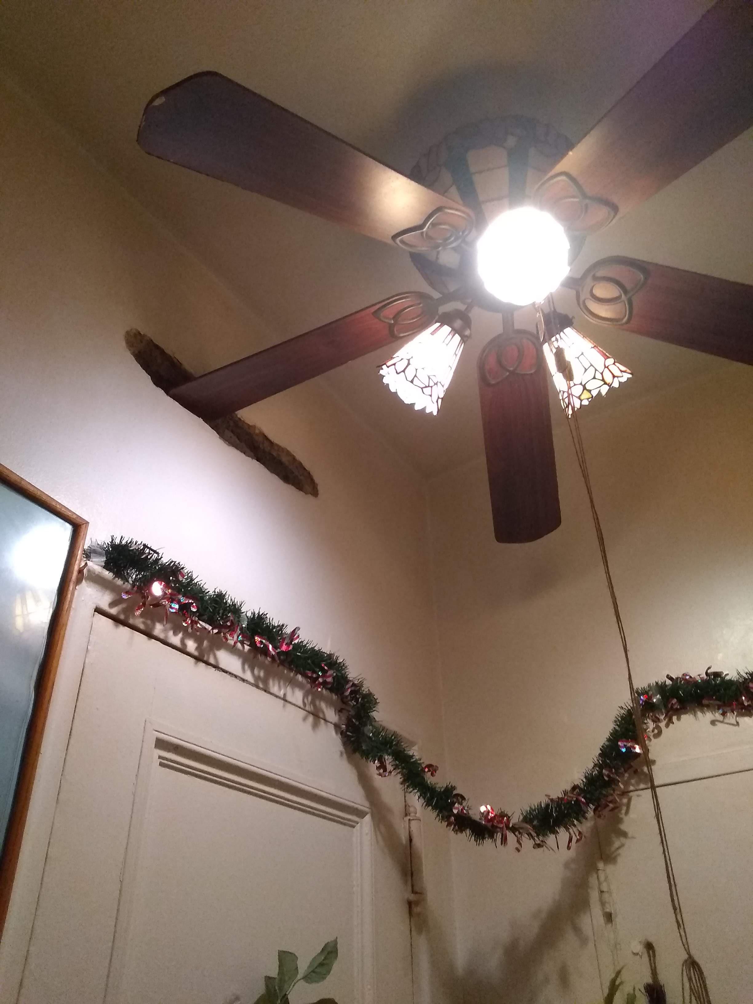 A hole cut into the wall for blades of ceiling fan in tiny nyc