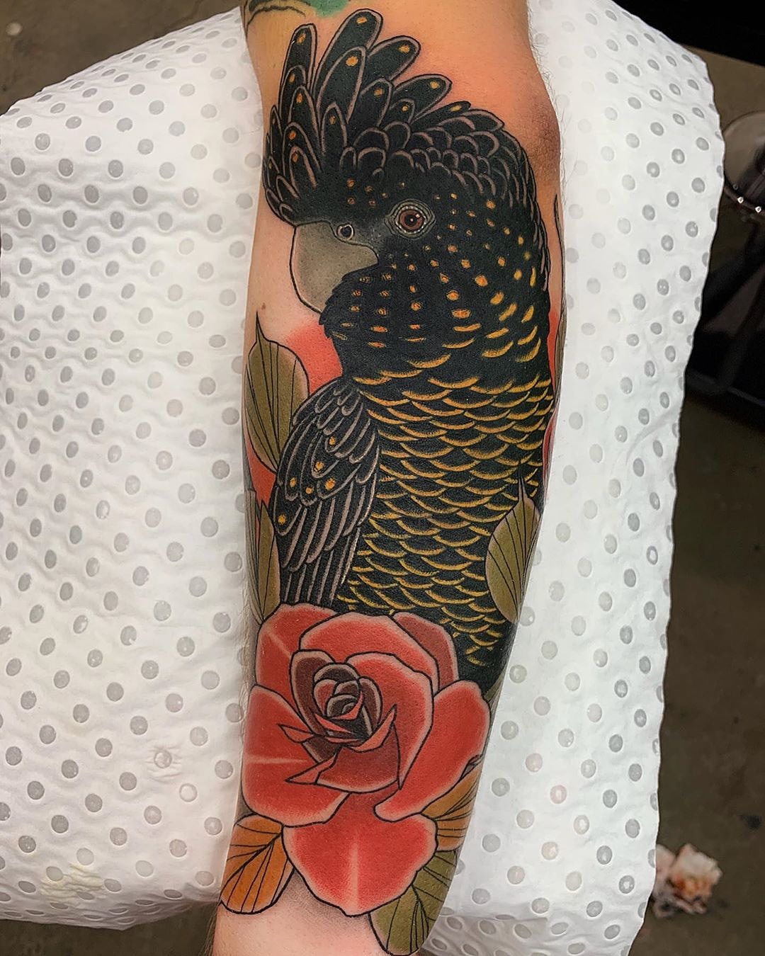 My black cockatoo by Drew Shallis in Gosford, Australia r/tattoo