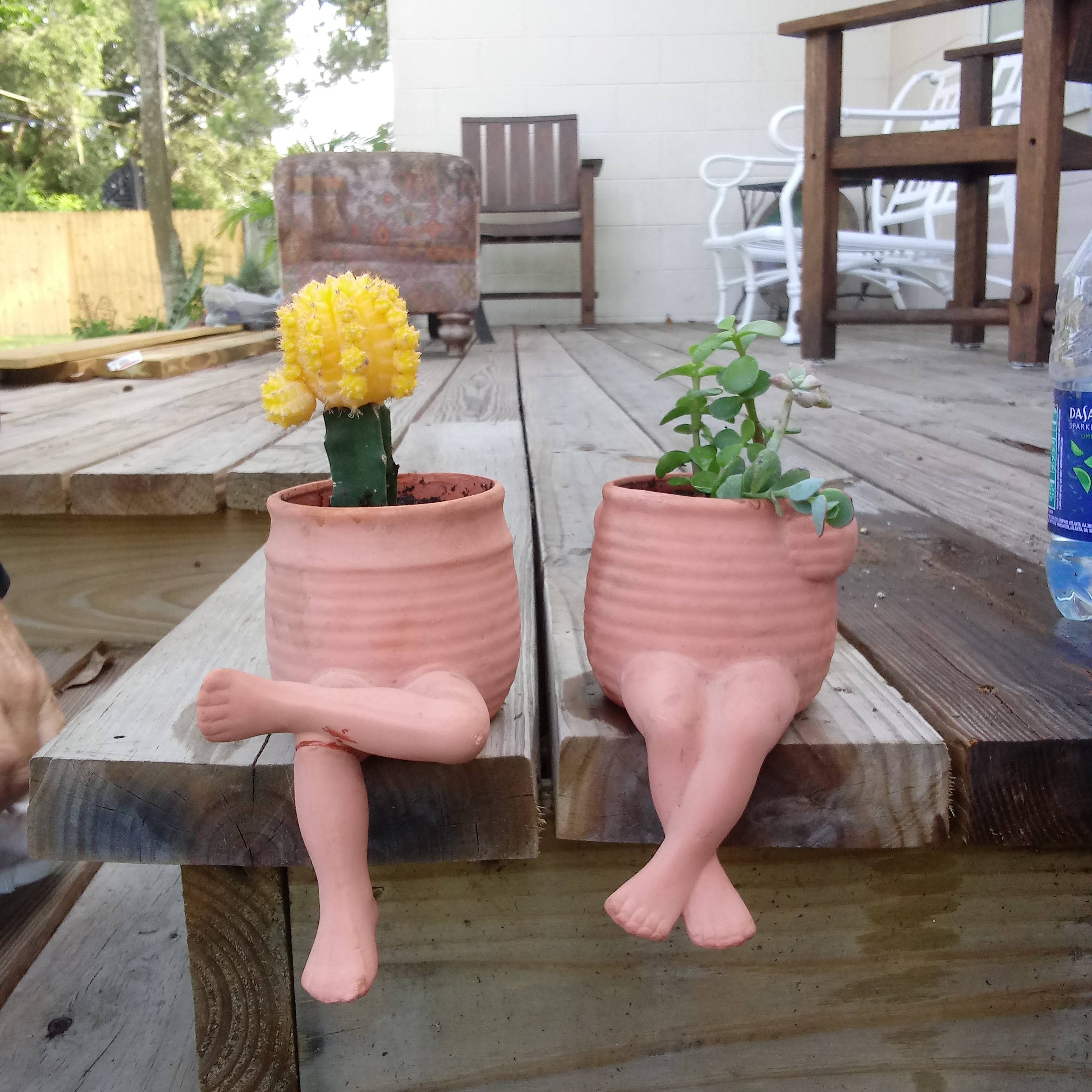 Just put plants in these cute pots my grandparents gave me. The rest of