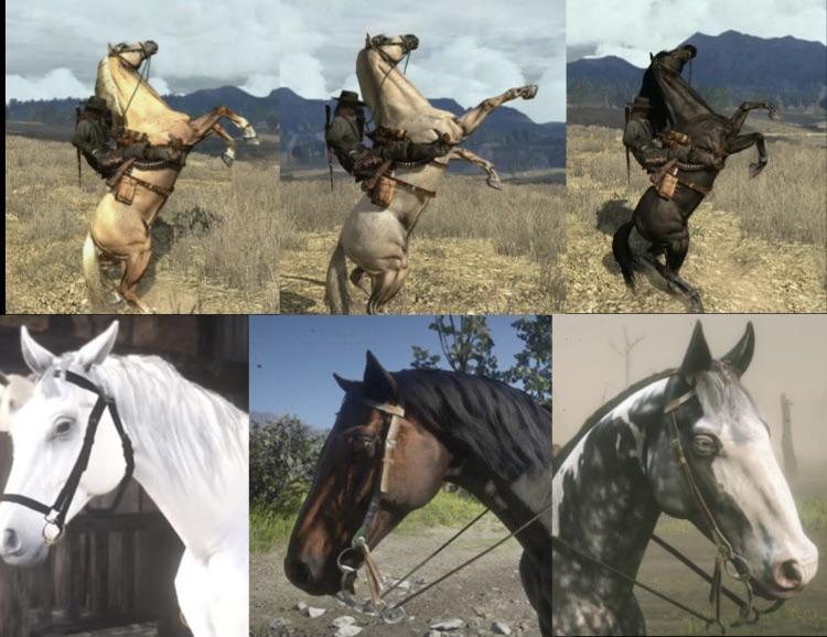 The Trifecta of Top Tier Horses per RDR game. Will the next game have a