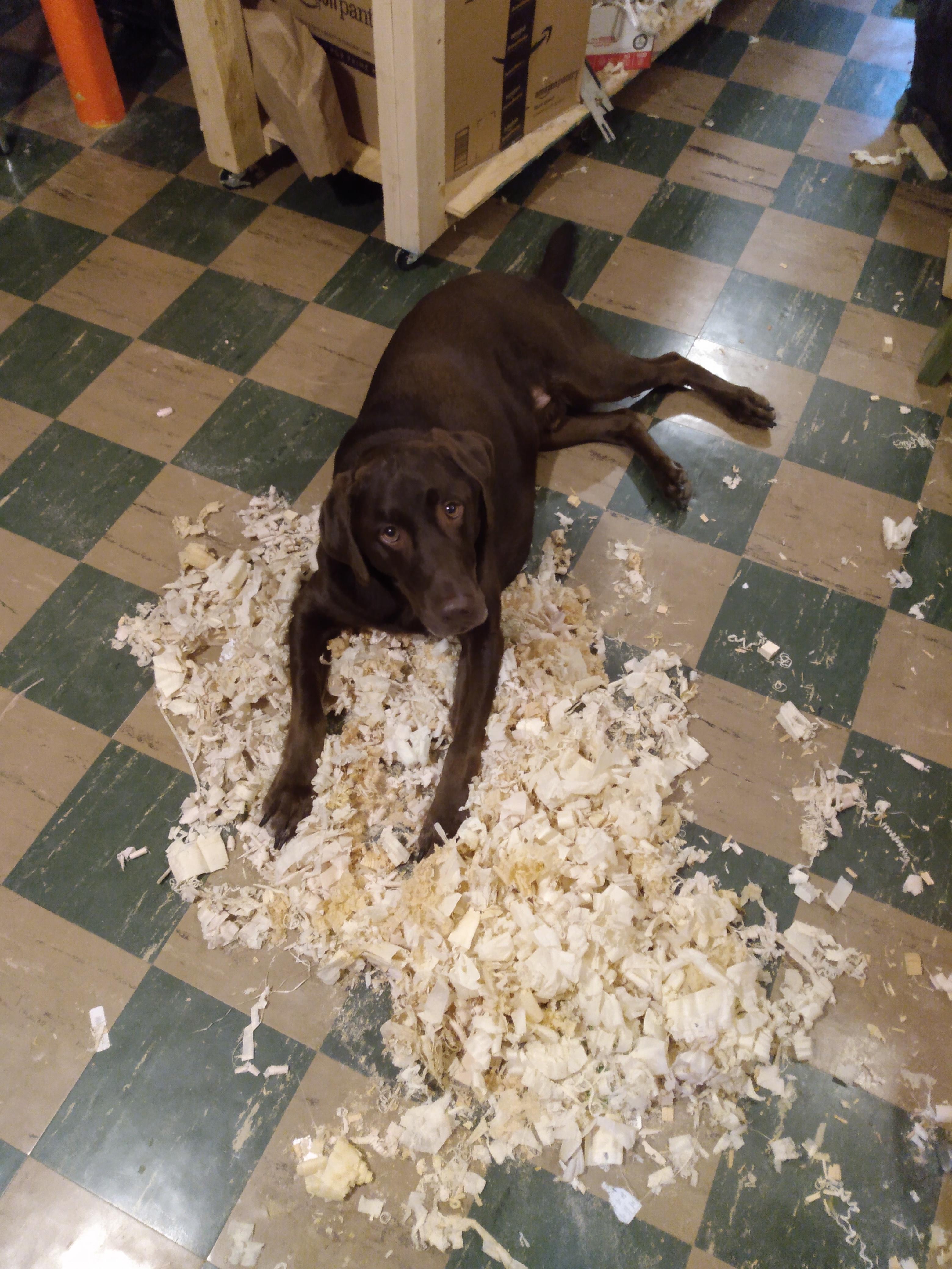 Trying to clean up all the shavings and turn around and see this..... r/handtools
