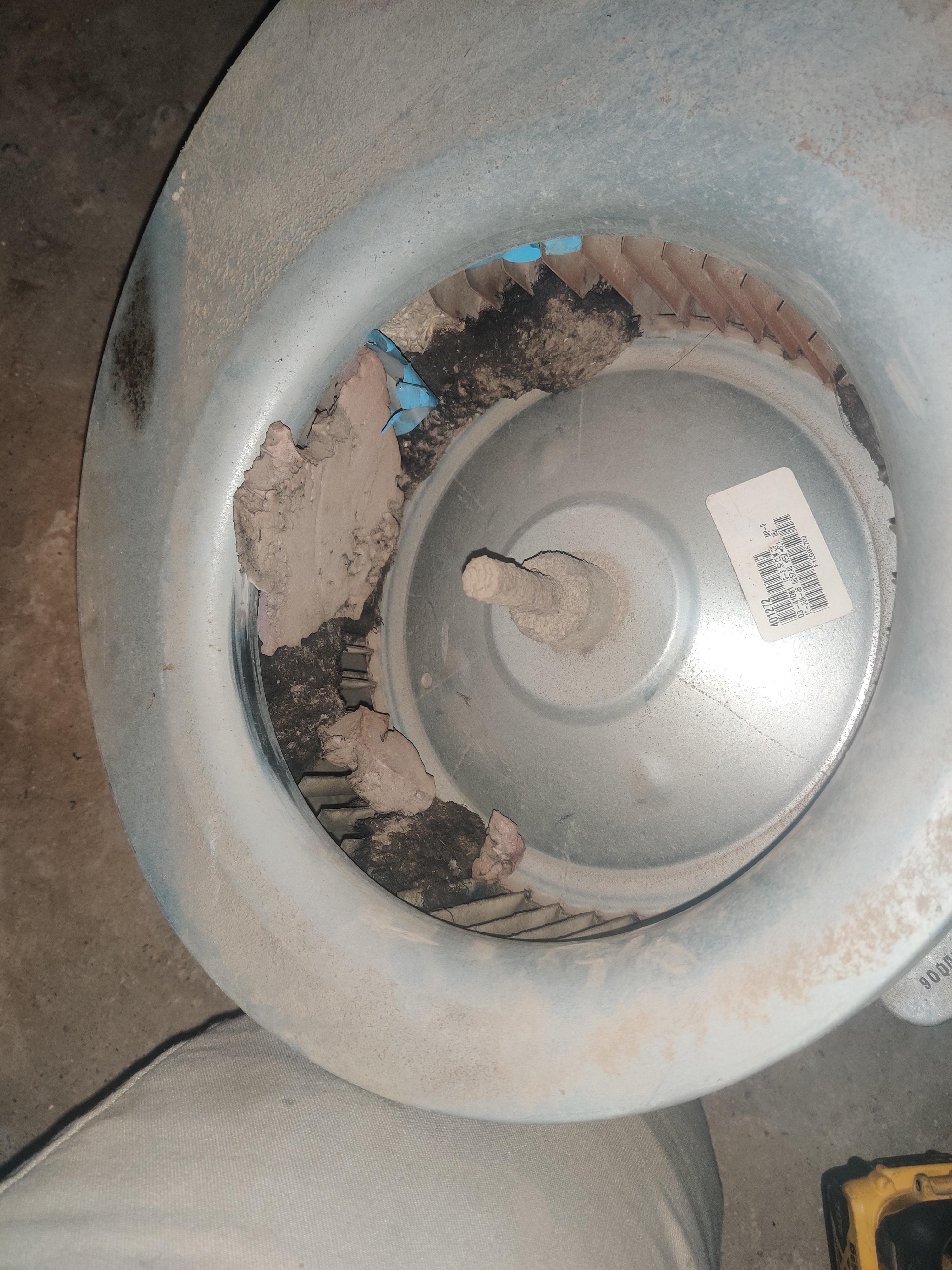 "Our blower is noisy and doesn't blow very hard." I couldn't believe it