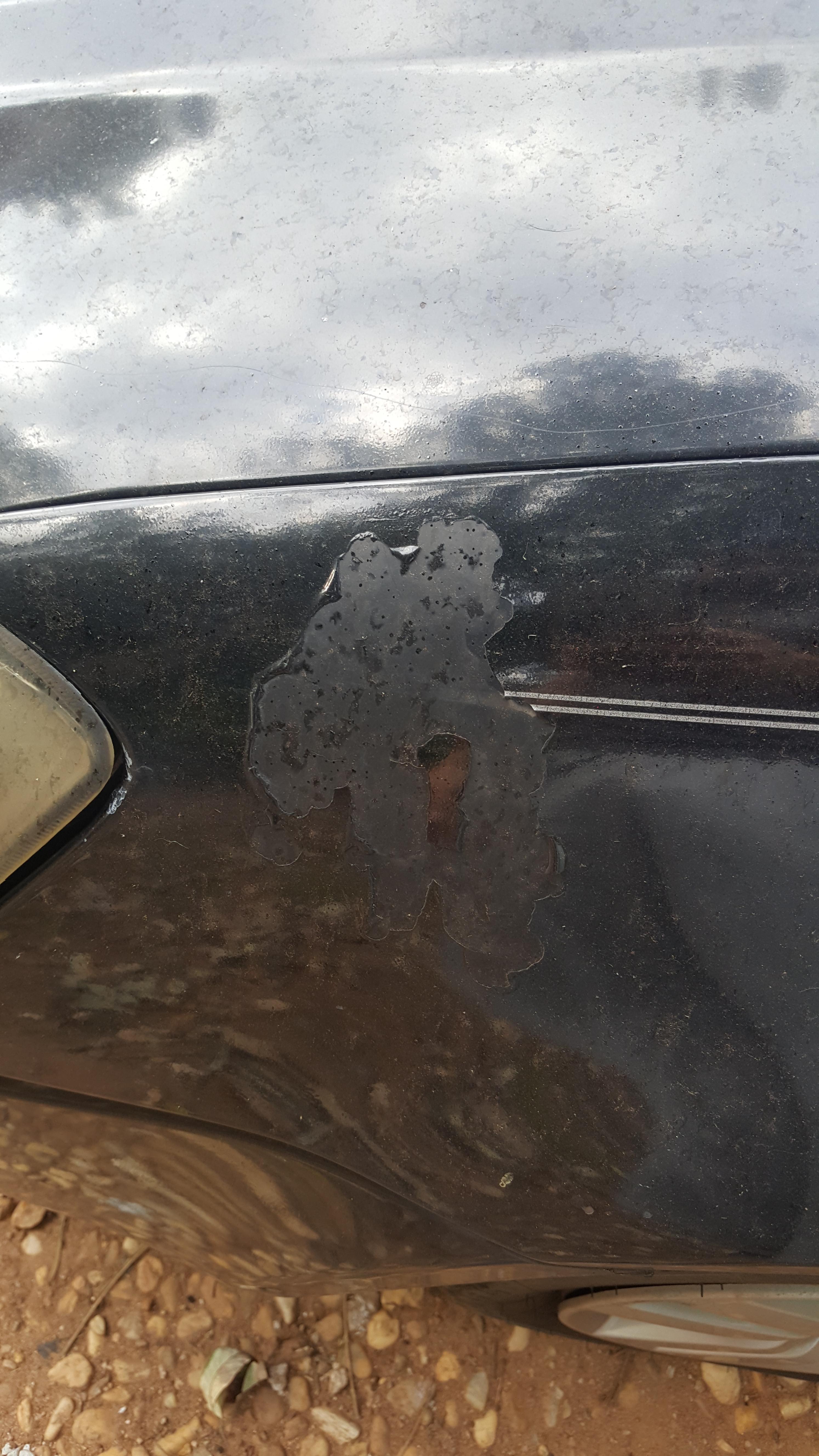 Car paint peeling in multiple spots. How should I go about fixing or