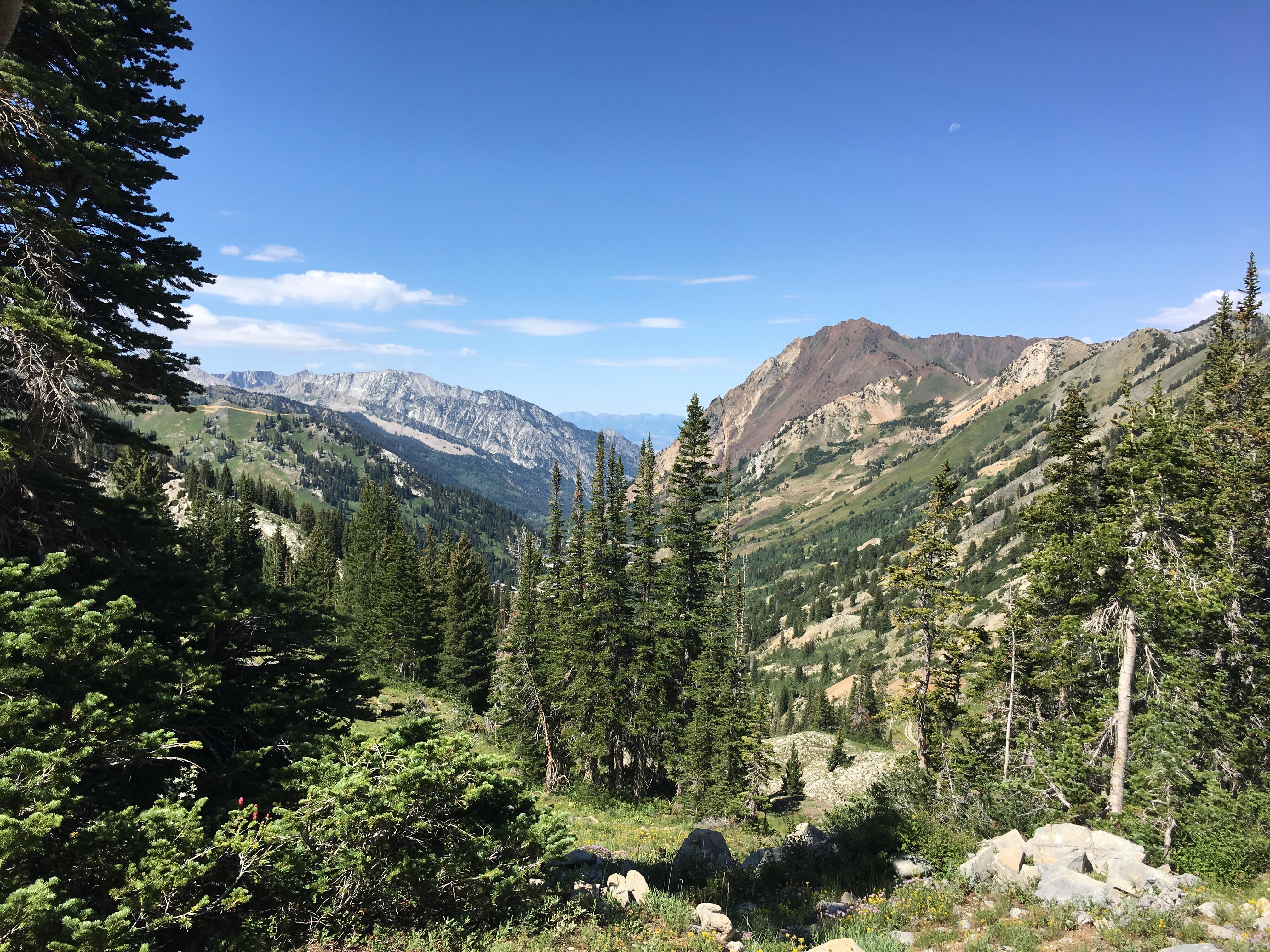 Prince of Wales Mining Trail, Utah (OC) [4,032 x 3,024] r/EarthPorn