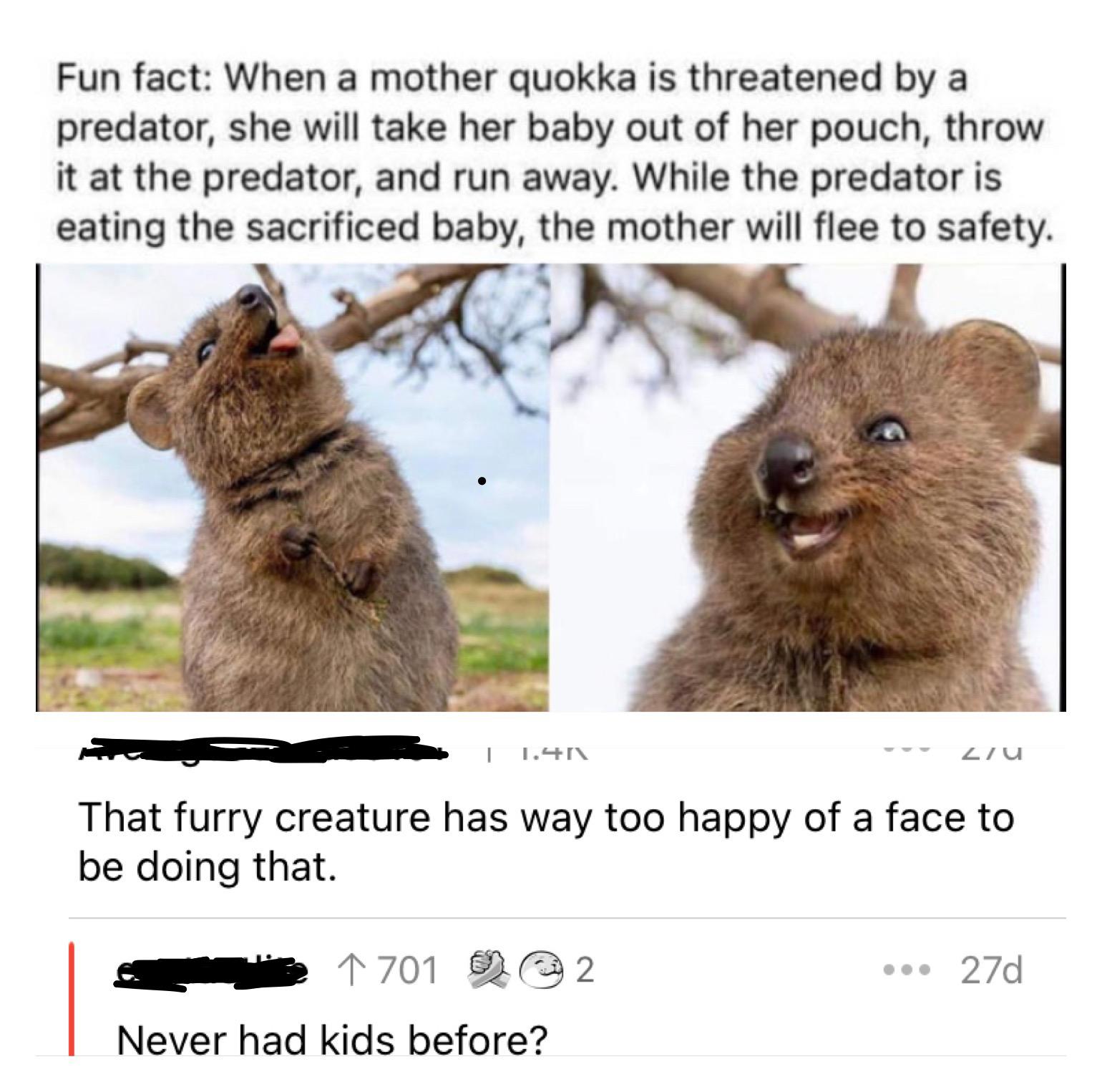 Wait hol tf up r/HolUp