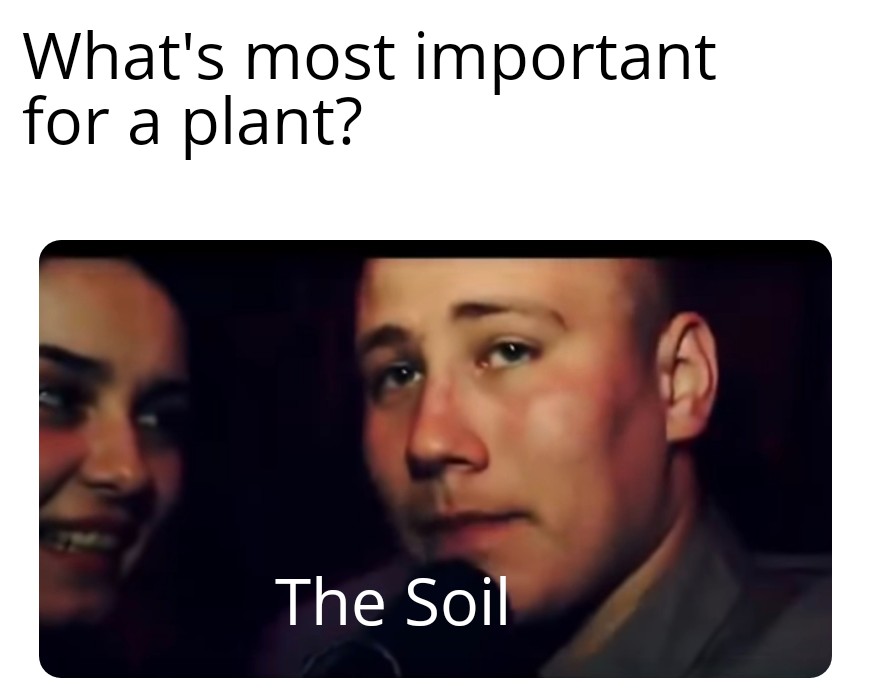 outdoor plants are free to take memes