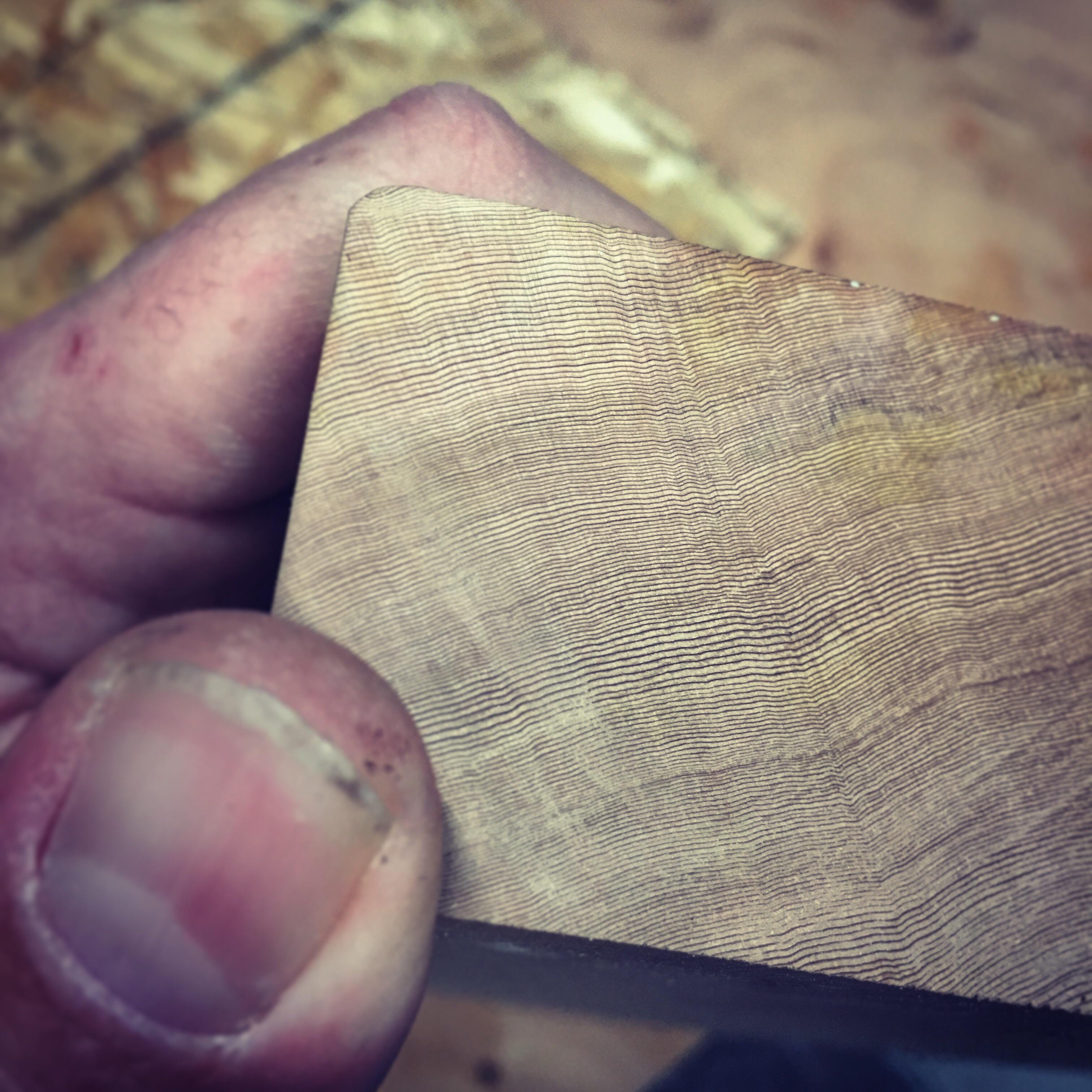 Old growth Vancouver Island red cedar. CENTURIES in less than two