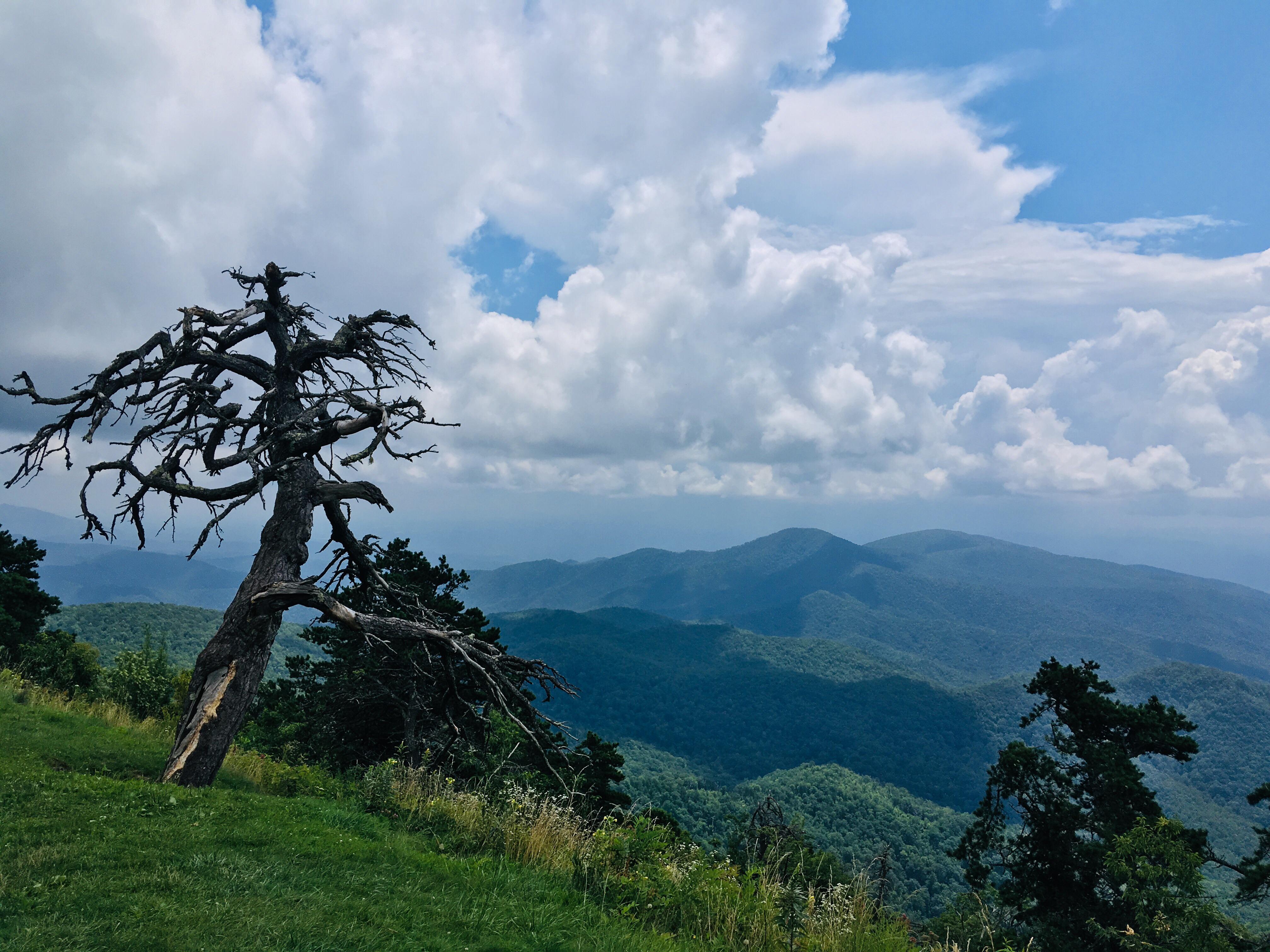From the Blue Ridge Parkway r/unitedstatesofamerica
