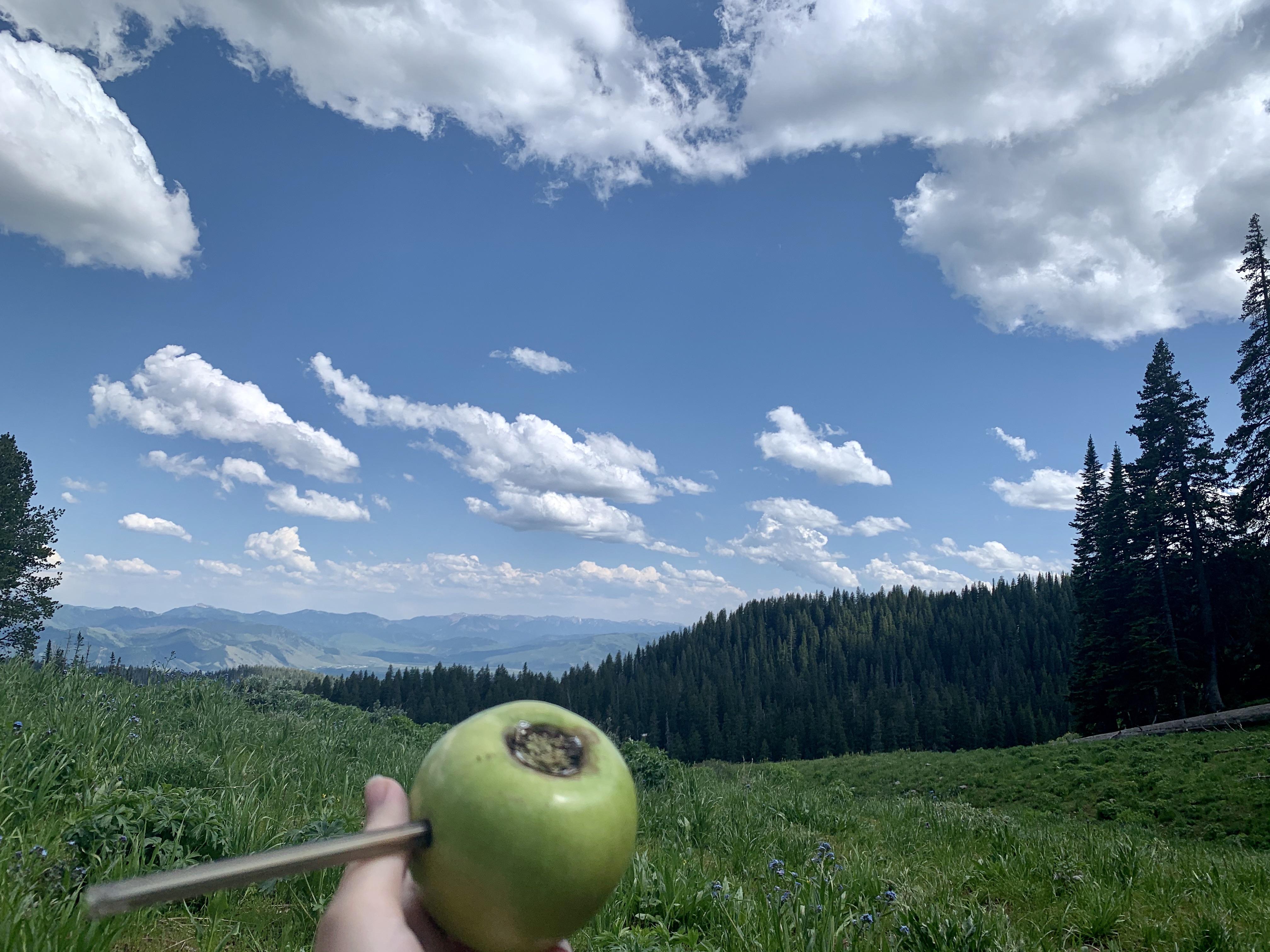 Hiked to the top of my very first mountain & enjoyed a celebratory