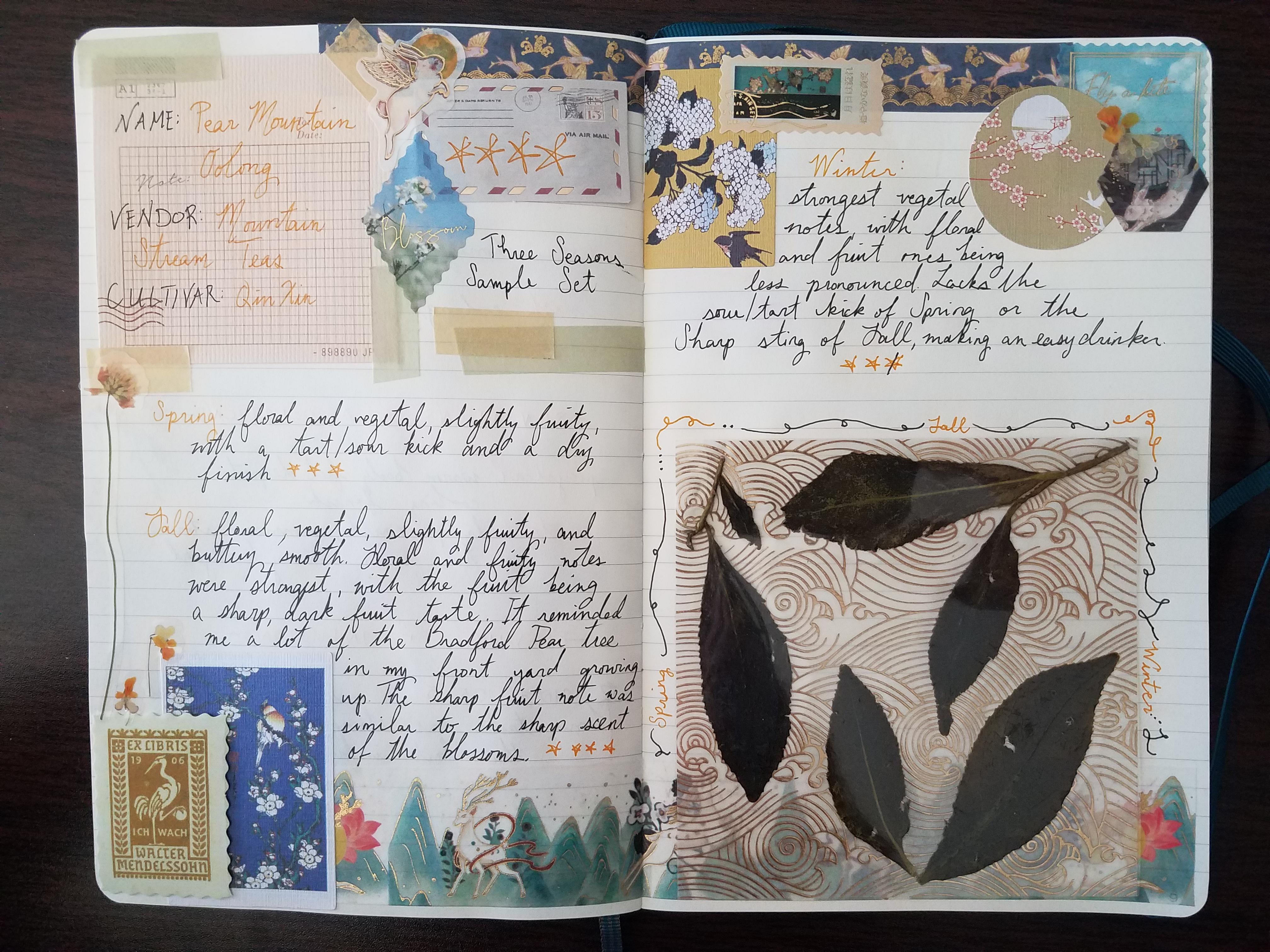 Tea Journal Three Seasons of Pear Mountain Oolong from Mountain Stream Teas r/bulletjournal