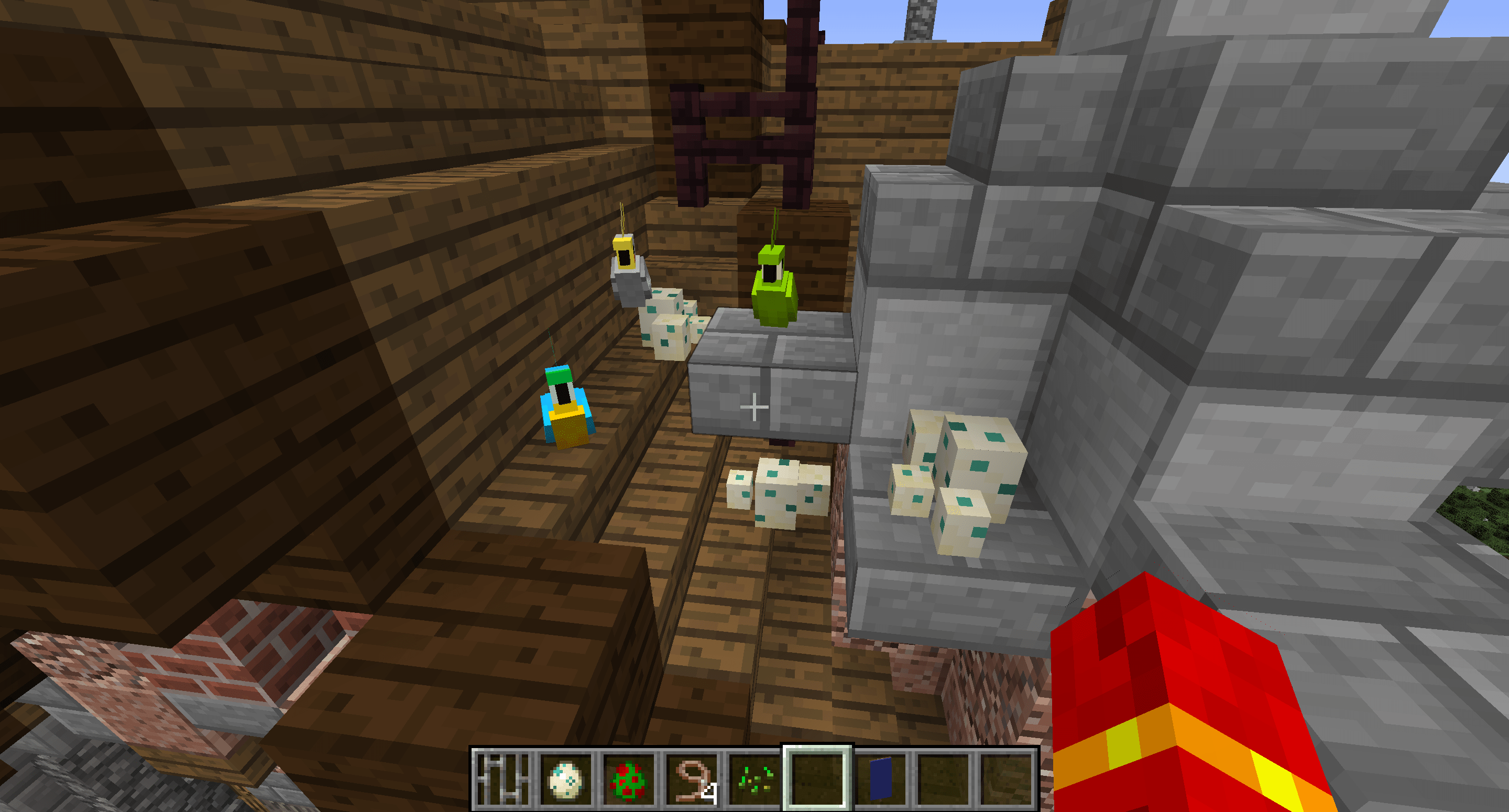 [Detail] Use tamed parrots+turtle eggs to make "nesting" birds on