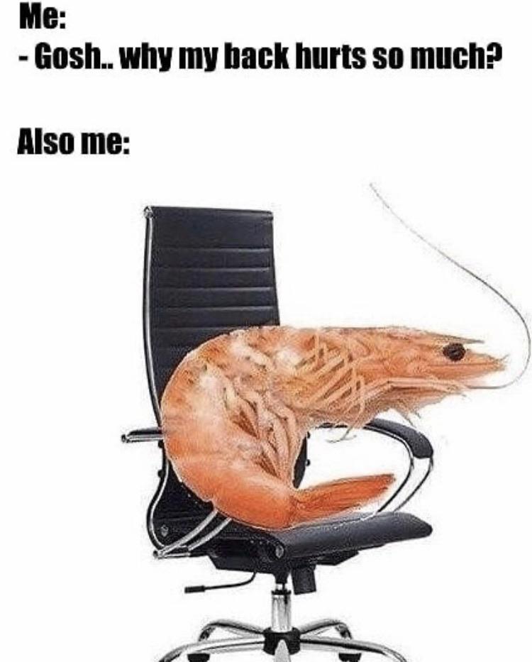 Yes my chair is my king FullShrimp