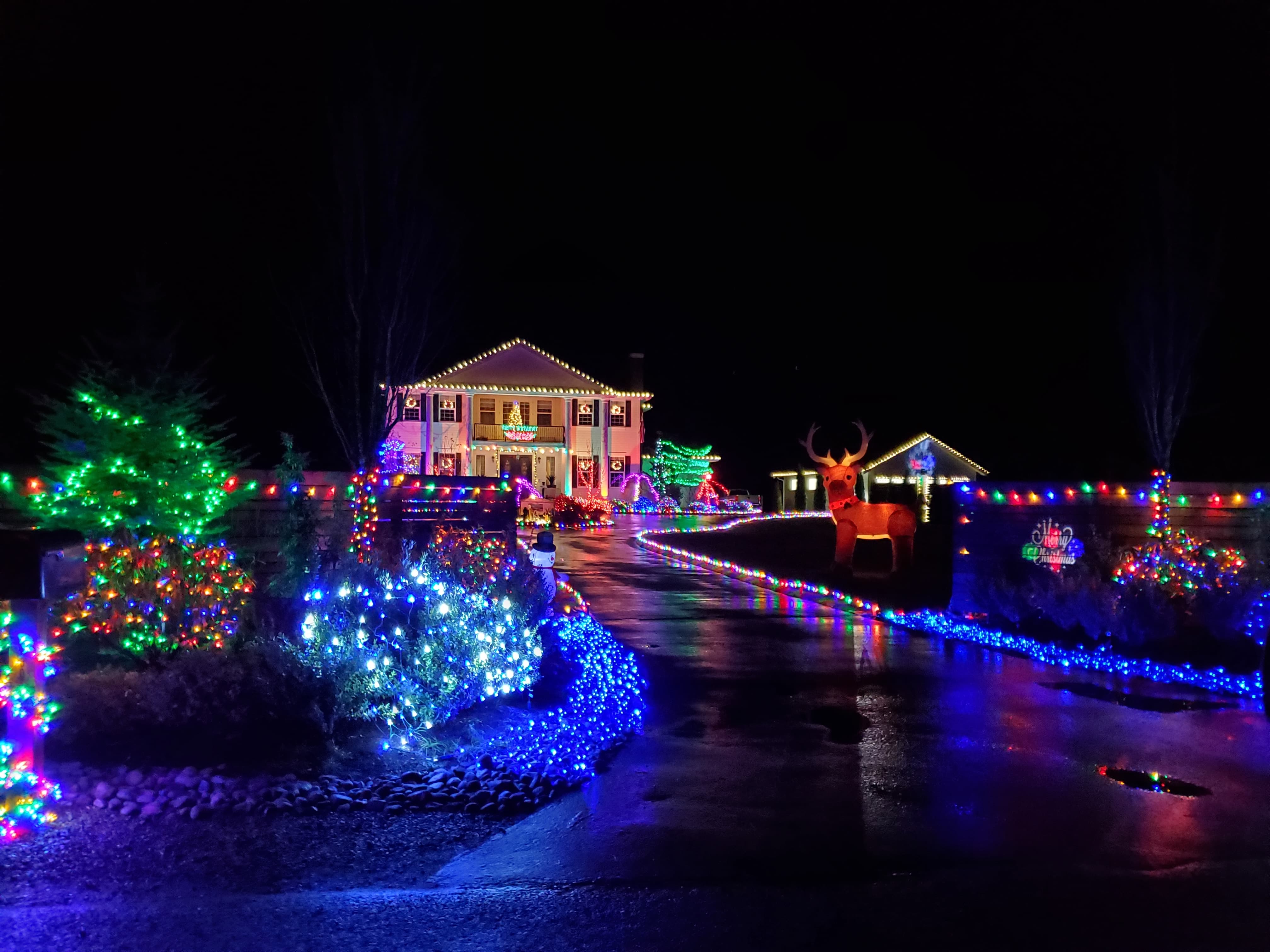 Spotted in Crosby out toward Hood Canal. With COVID19 keeping many of