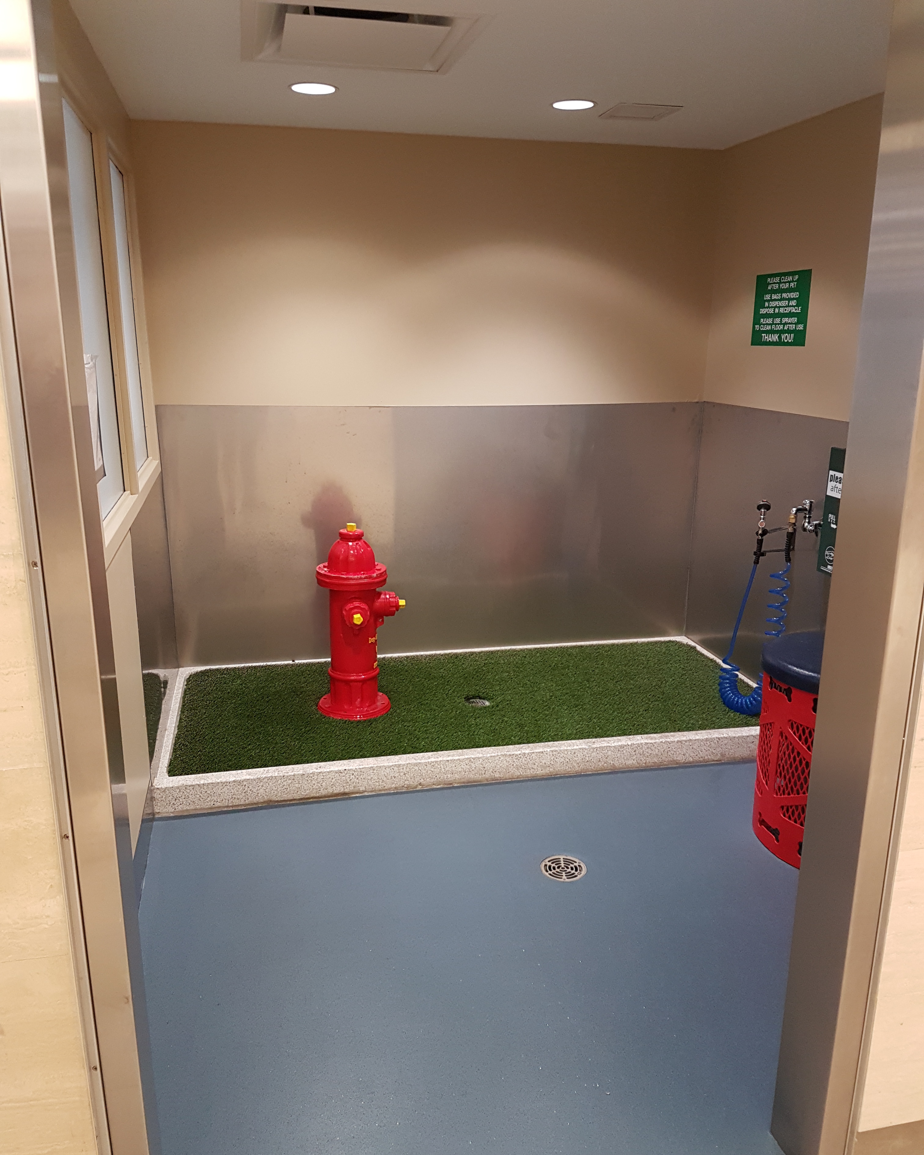 Dog toilet at St Louis airport r/rarepuppers