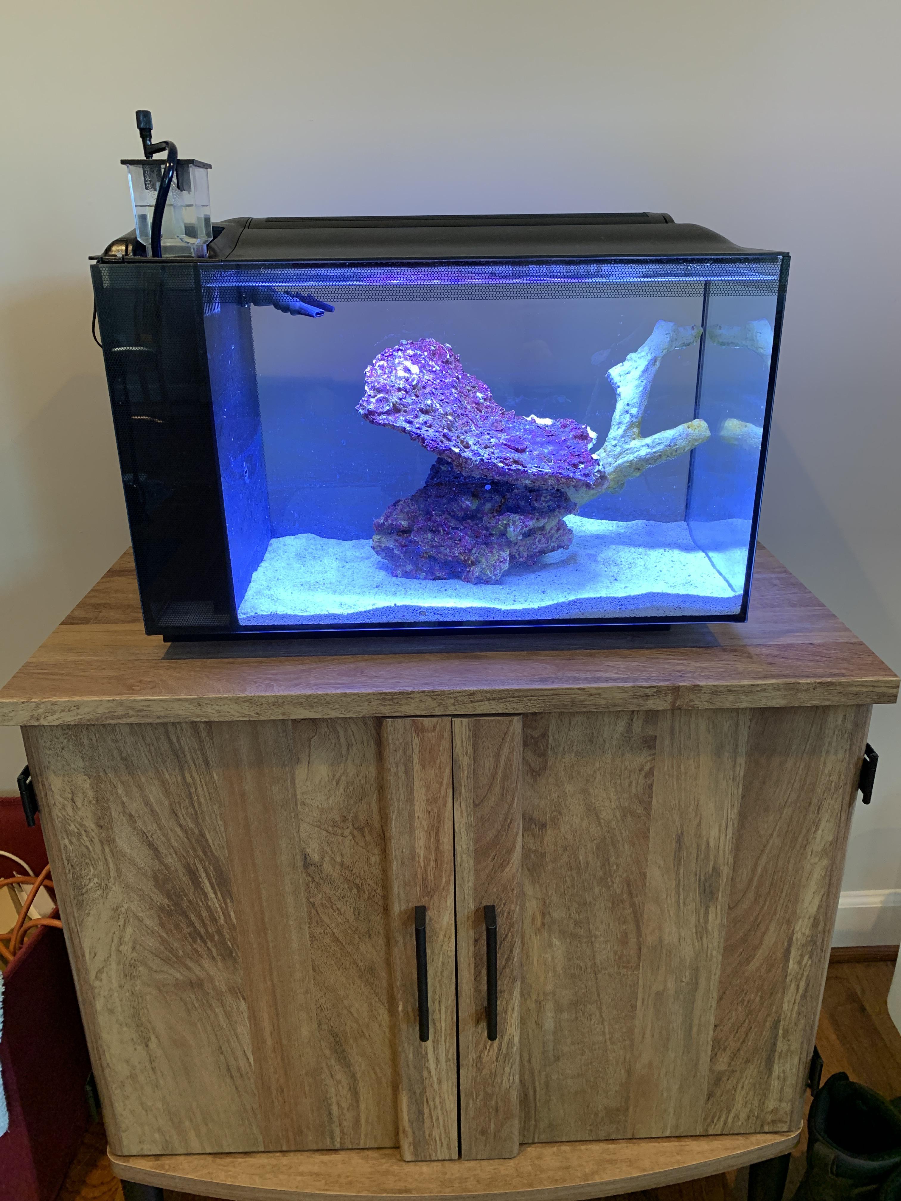 New 13.5 gal saltwater tank setup, any opinions? r/Aquariums