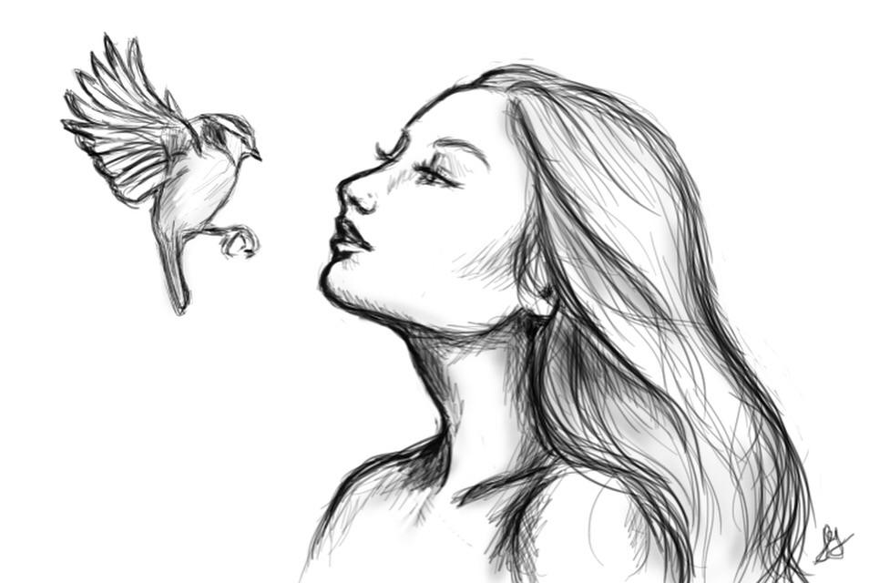 2712 best Quick Drawing images on Pholder Drawing, Furry and