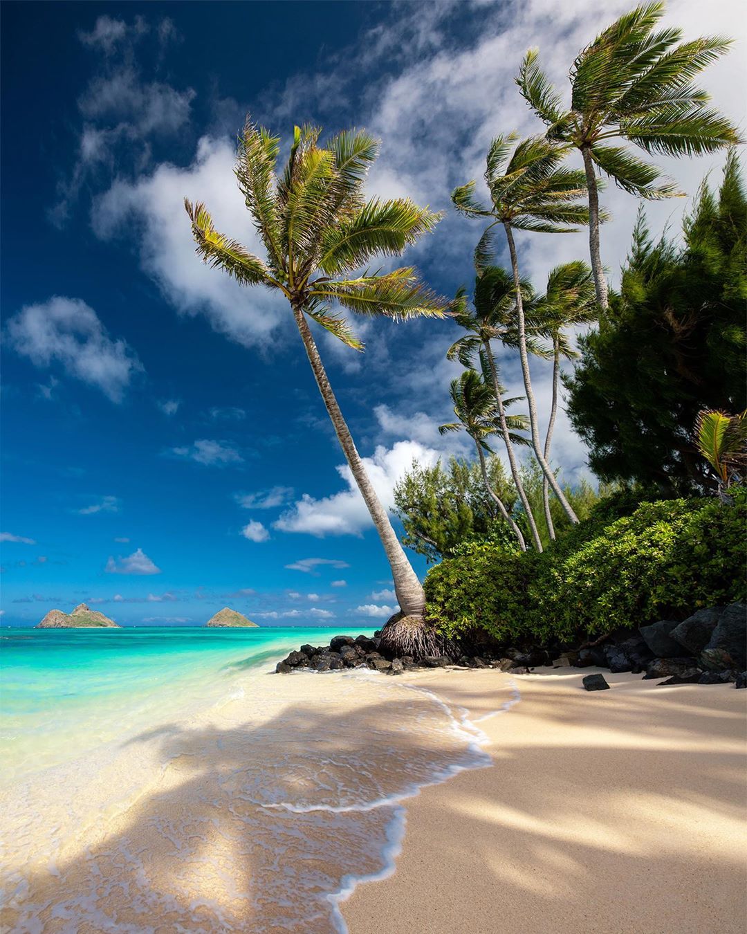 Tropical island of Oahu, Hawaii. r/MostBeautiful