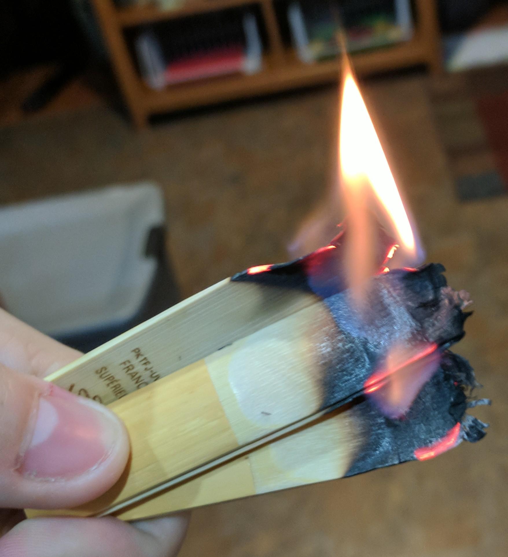 While most people think of reeds as having a 'disgusting flavor,' a light sear can bring out its