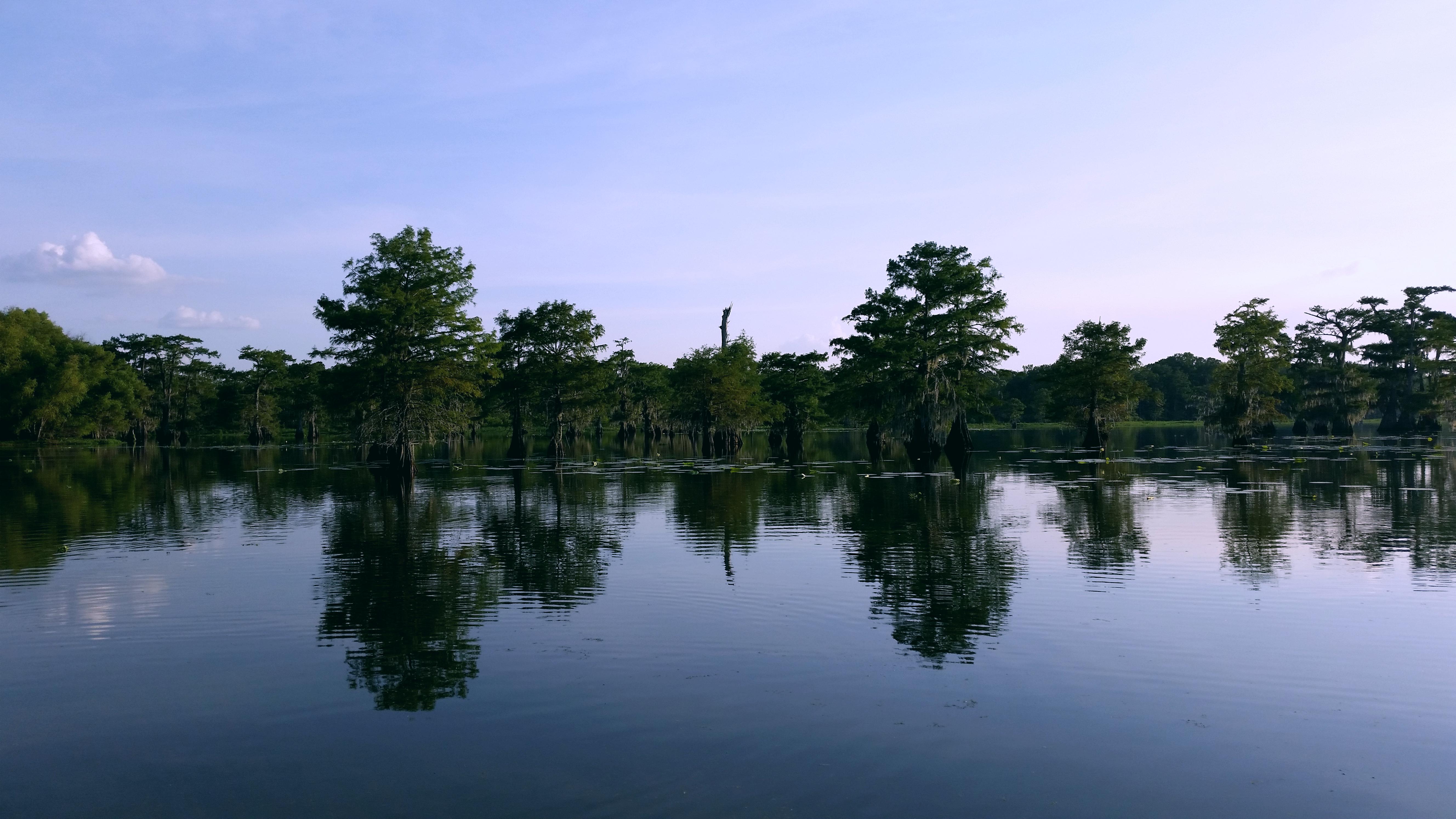 Reddit doesn't see enough swamps and bayous. So here is Spring Bayou