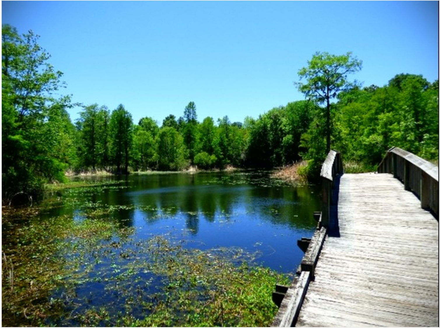 Walking with Nature Old Santee Canal Park, South Carolina r