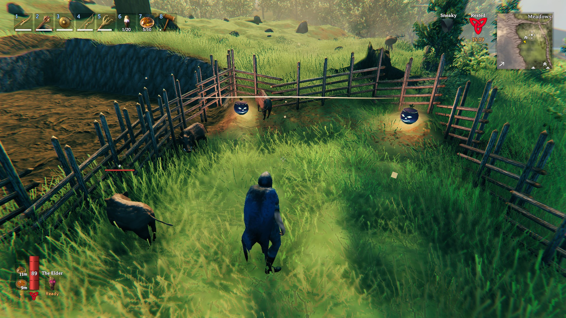 Jackoturnips do NOT frighten MY boars 😤 r/valheim