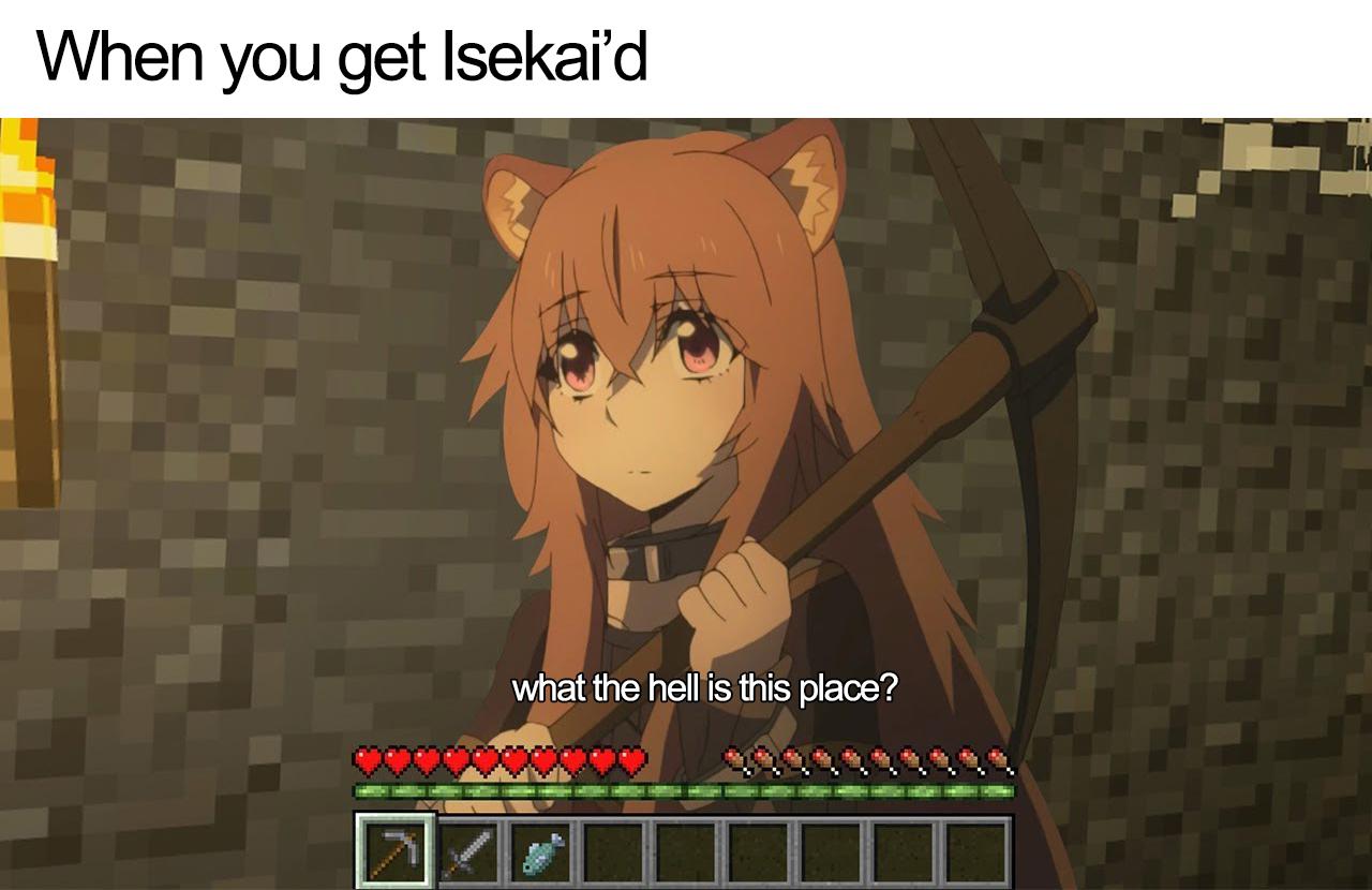 When you get Isekai'd shieldbro
