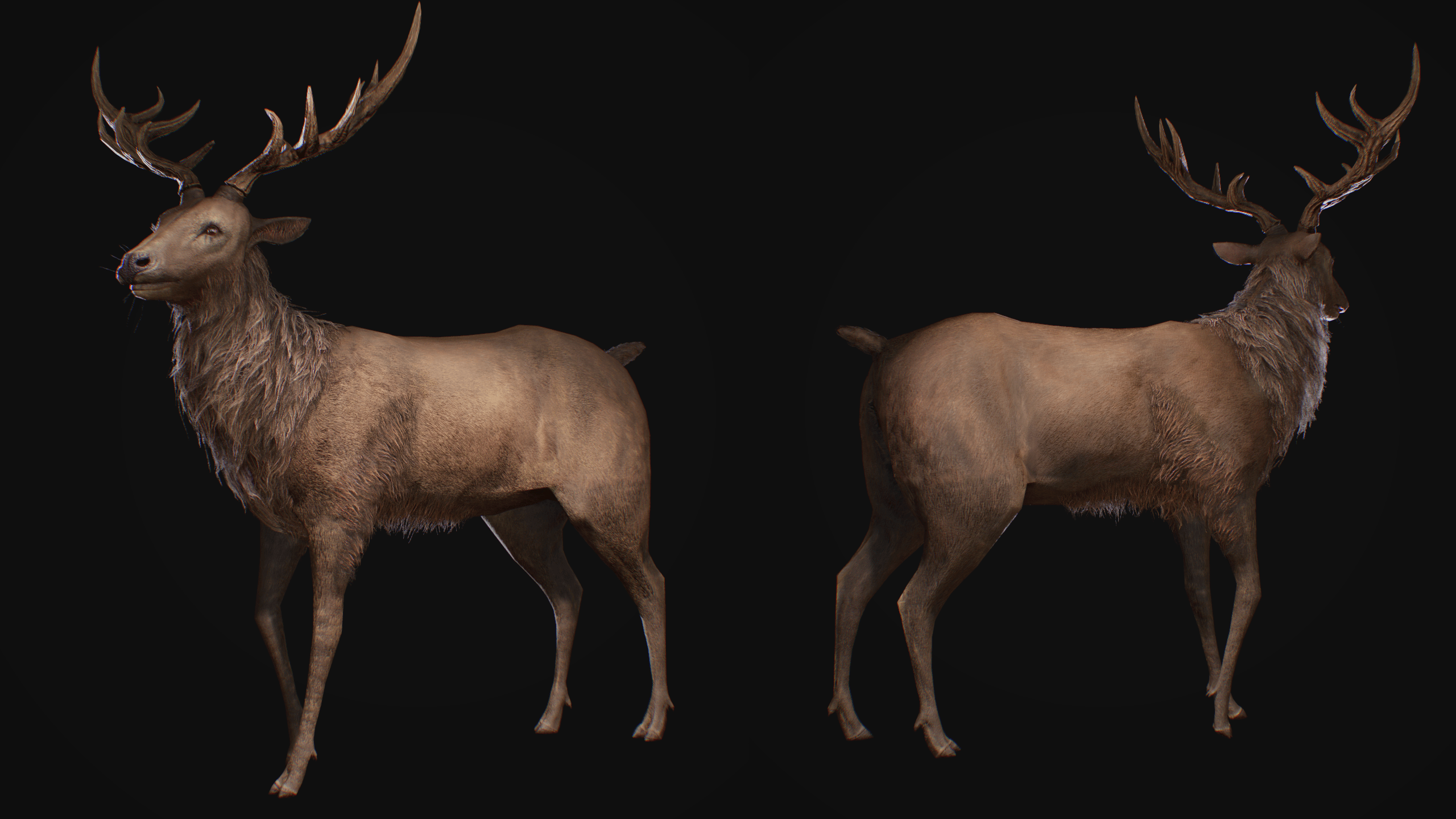 Hello I made deer fur with Blender particles, it' s game ready. It was