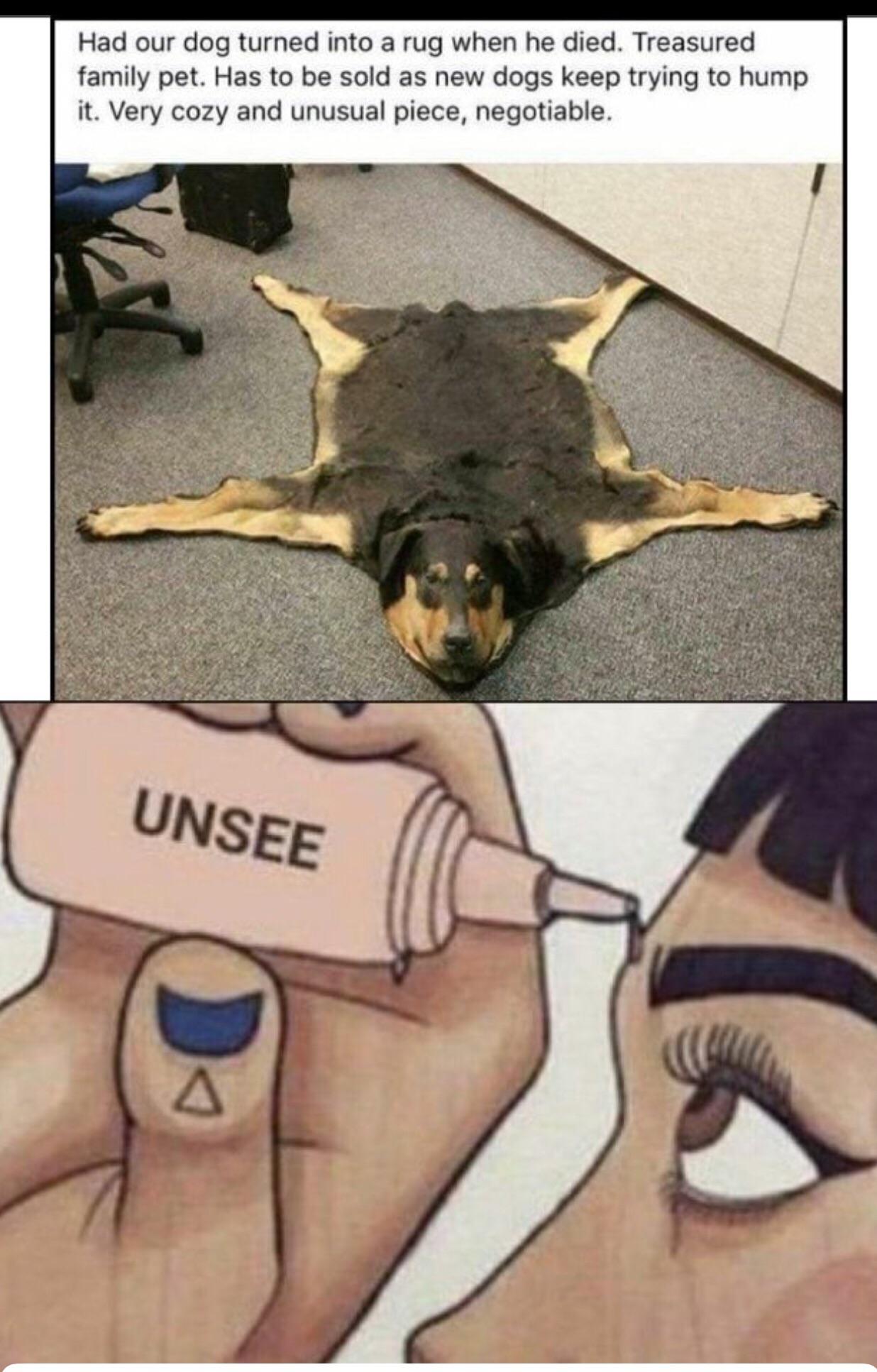 Thanks, I hate dog rugs r/TIHI