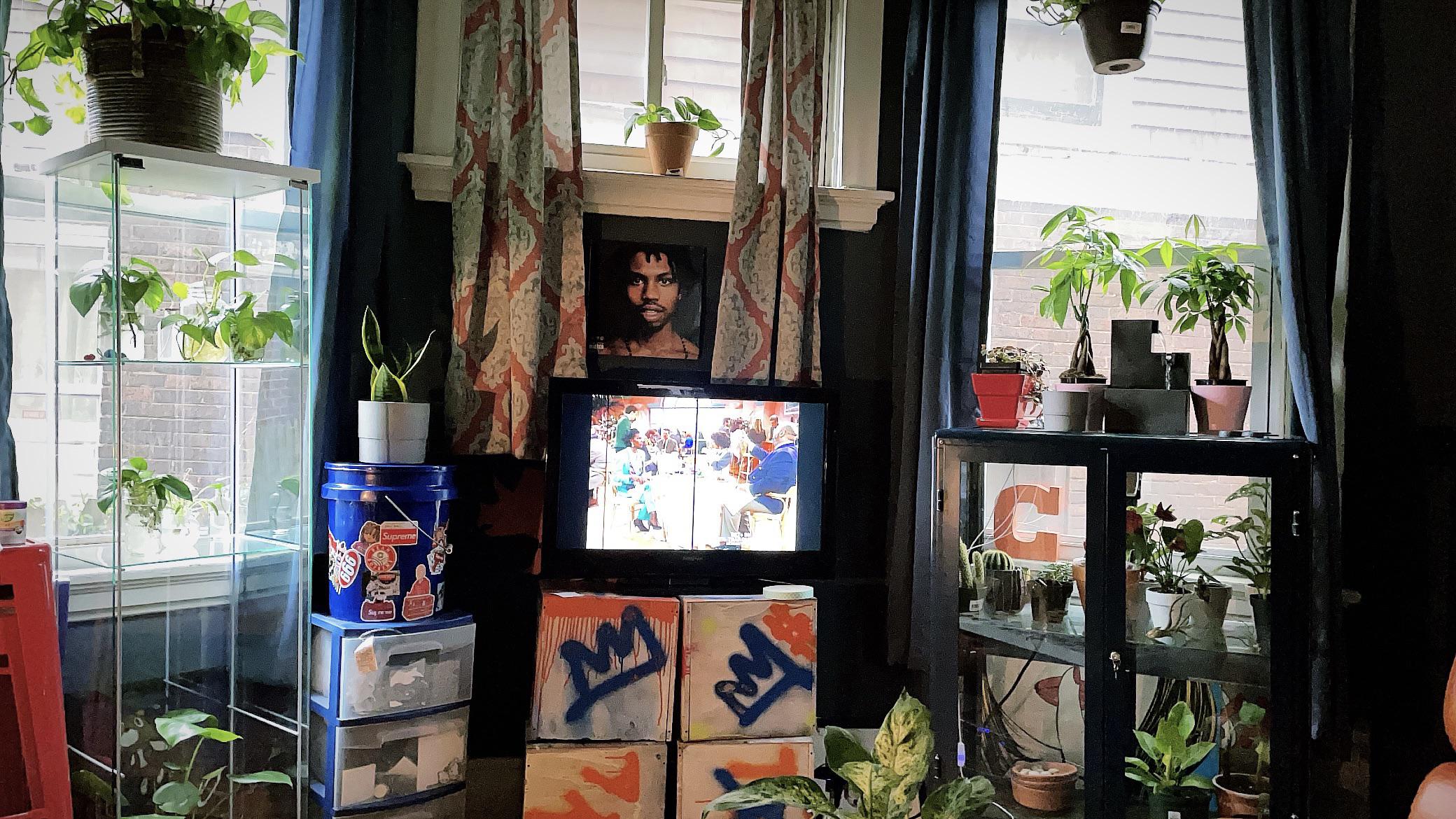 Urban plant life in Cincinnati Ohio 🪴🤎 r/houseplants