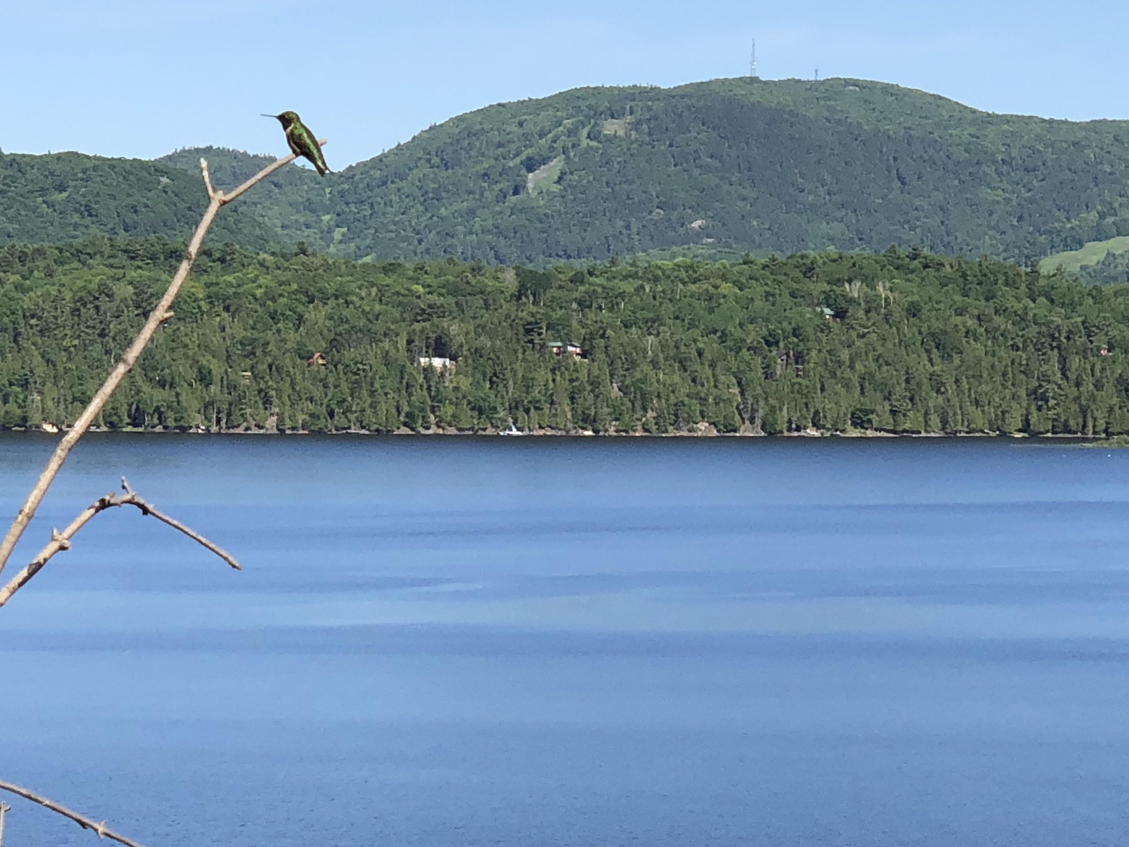 A friend and I enjoying the view Lac Ste Marie. r/ottawa