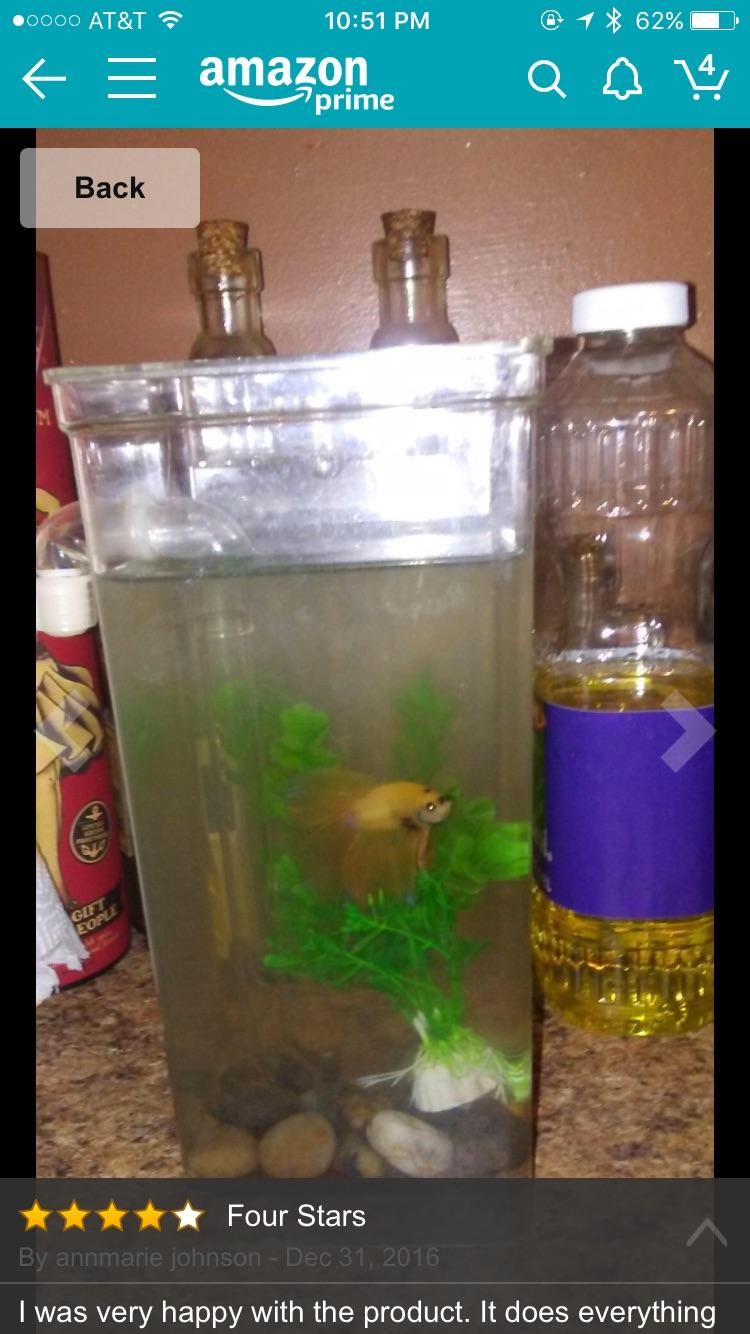 "My Fun Fish Tank" r/shittyaquariums