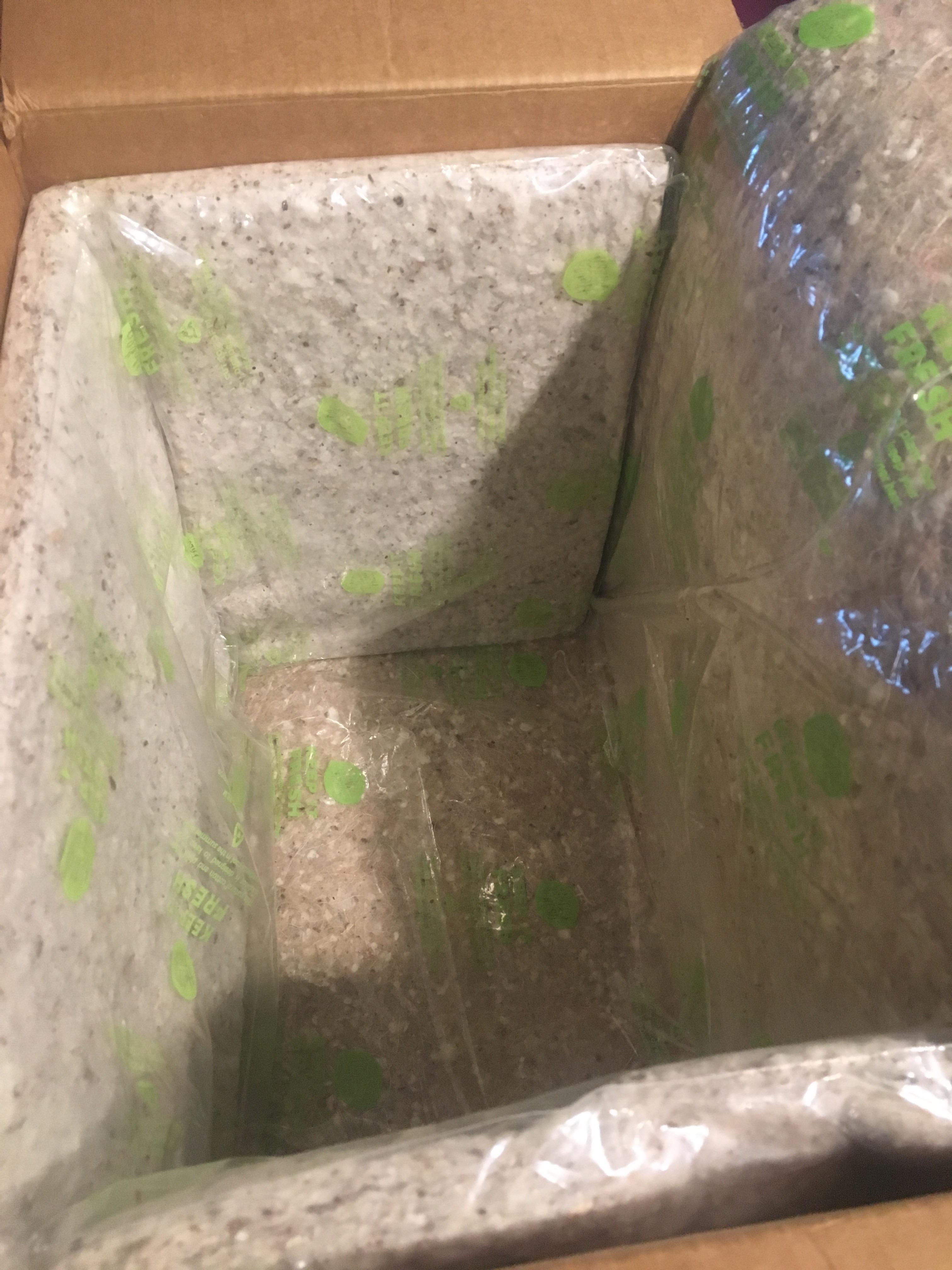 Picture of the inside of the box I received today, look like great