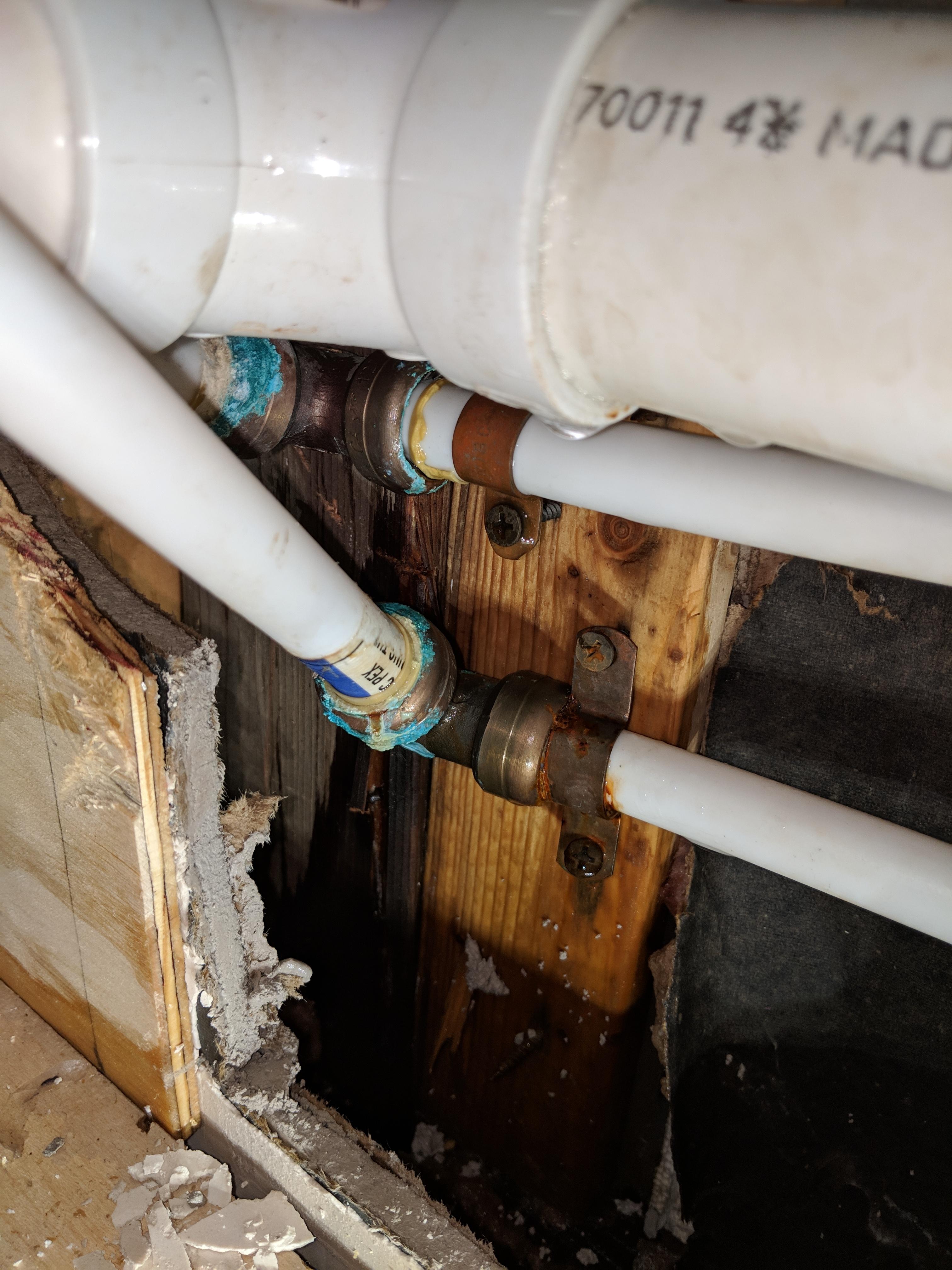 Shark "bites" r/Plumbing